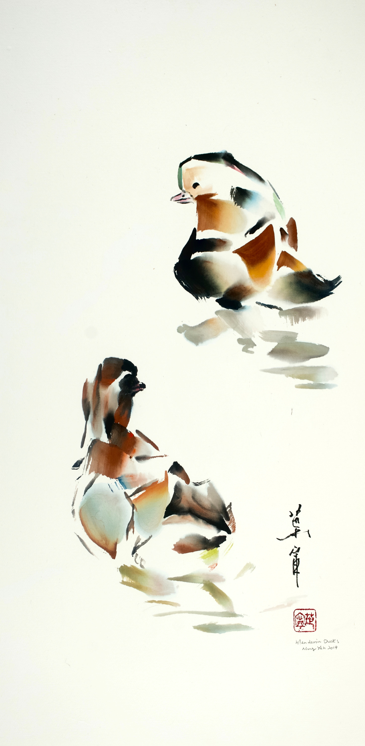 Mandarin ducks ynvgwo