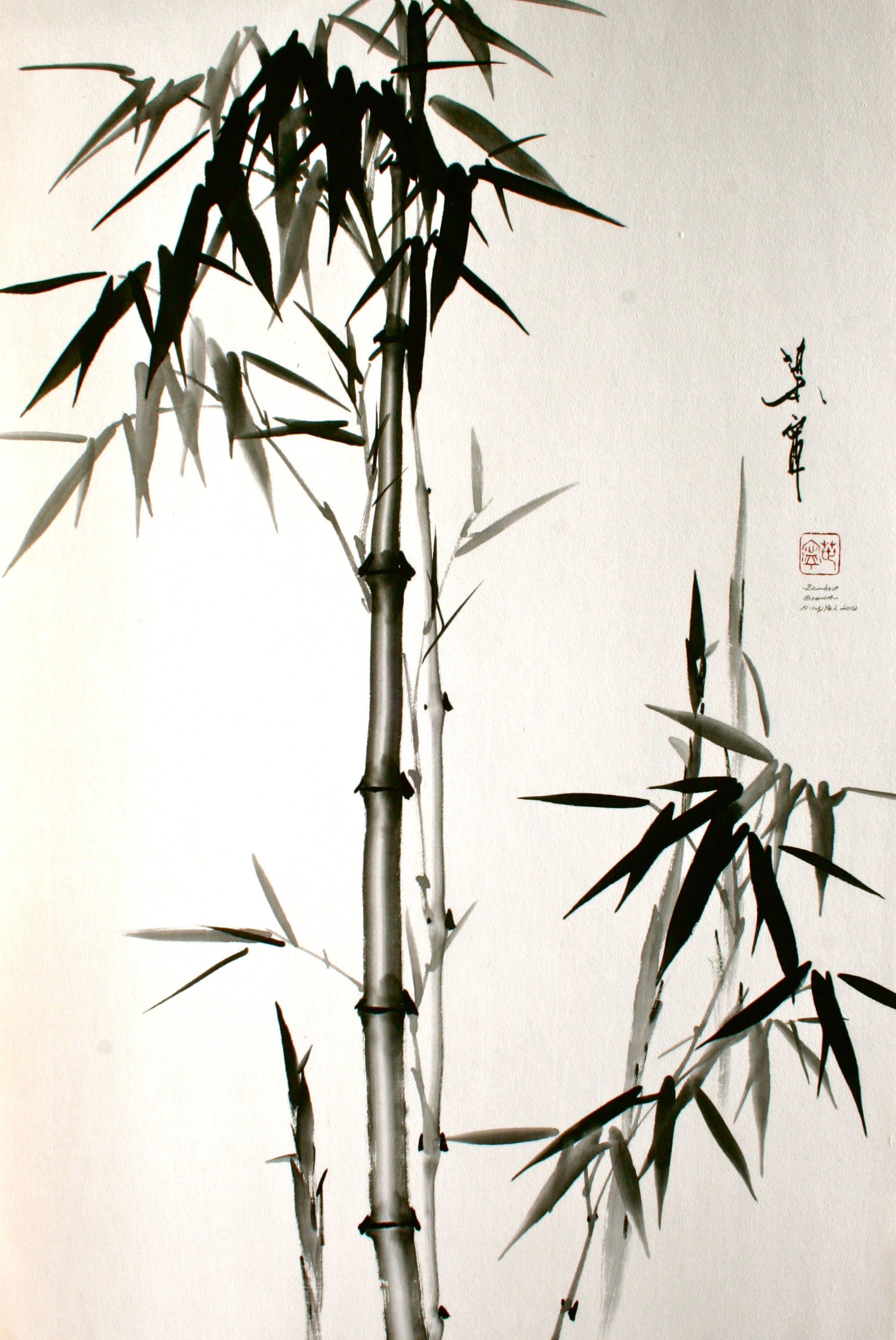 Bamboo growth 6467 v56lo6
