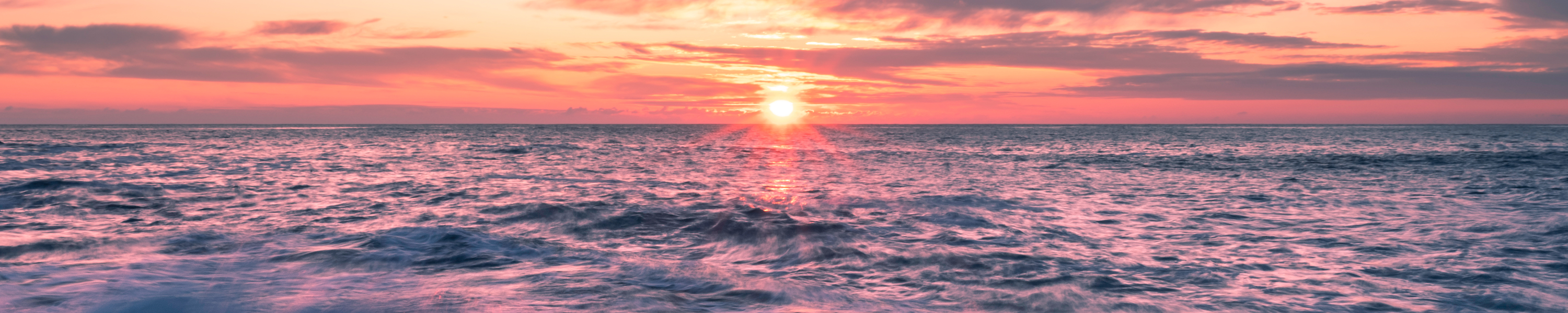 
        <div class='title'>
          banner ocean
        </div>
       