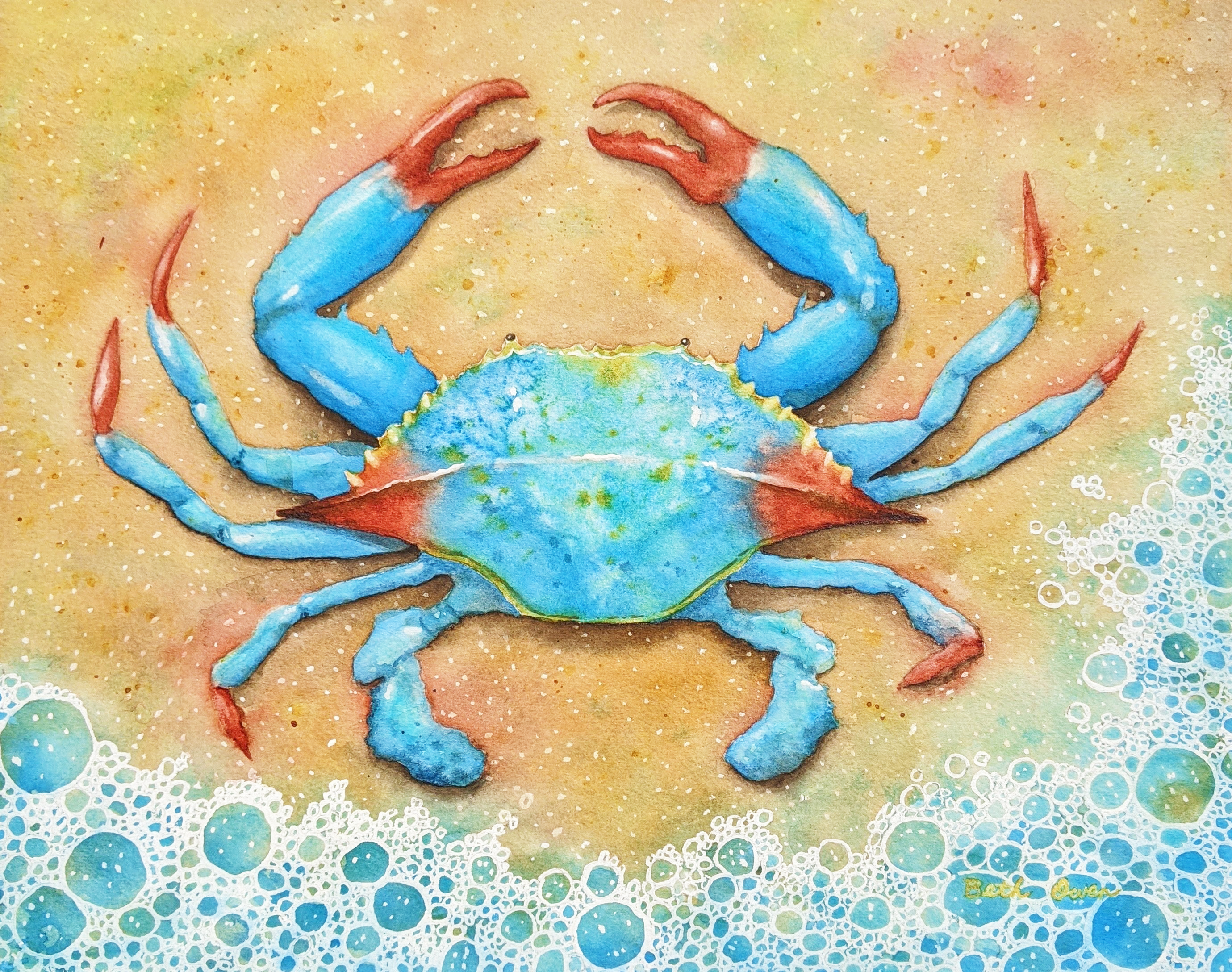 Blue crab hi5s8m