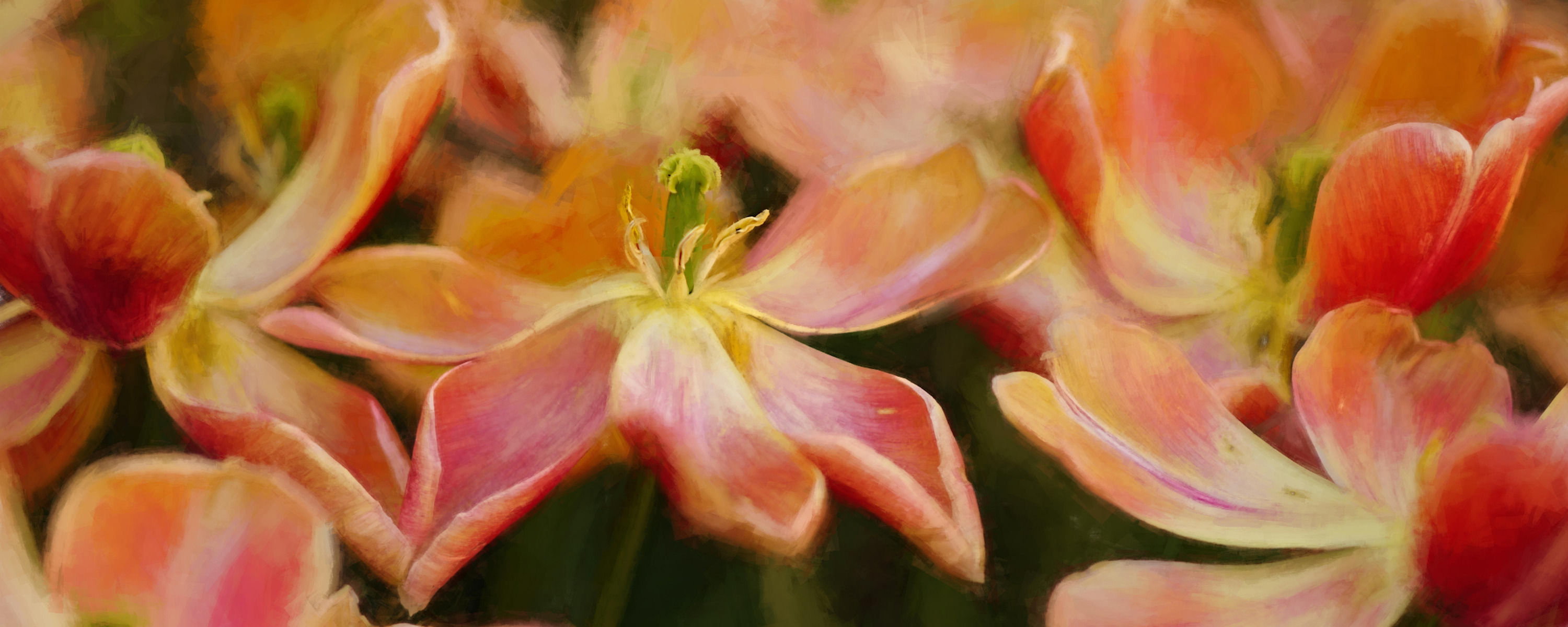 
        <div class='title'>
          Dancing Flowers billboard
        </div>
       