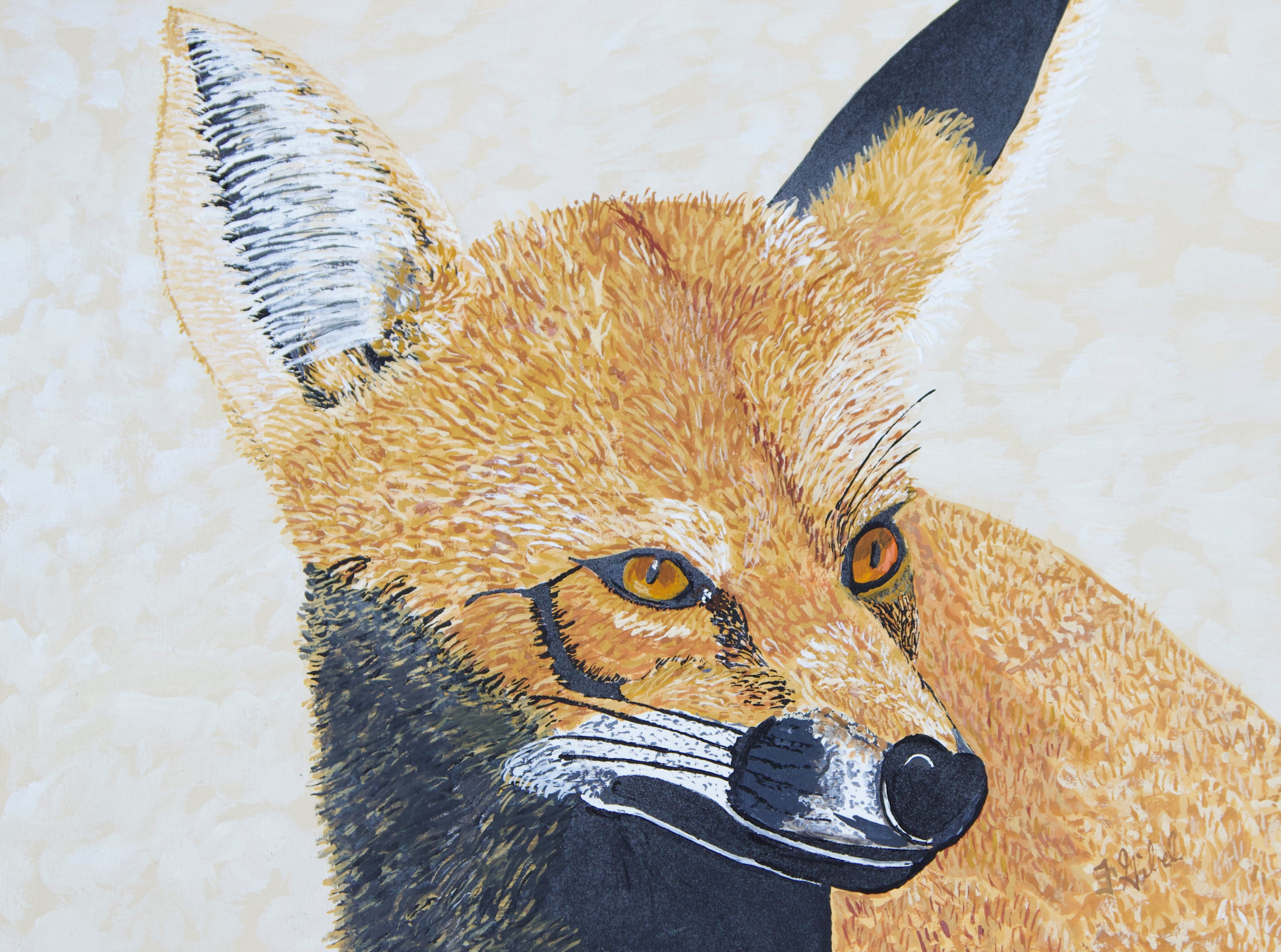 The fox bdre7t