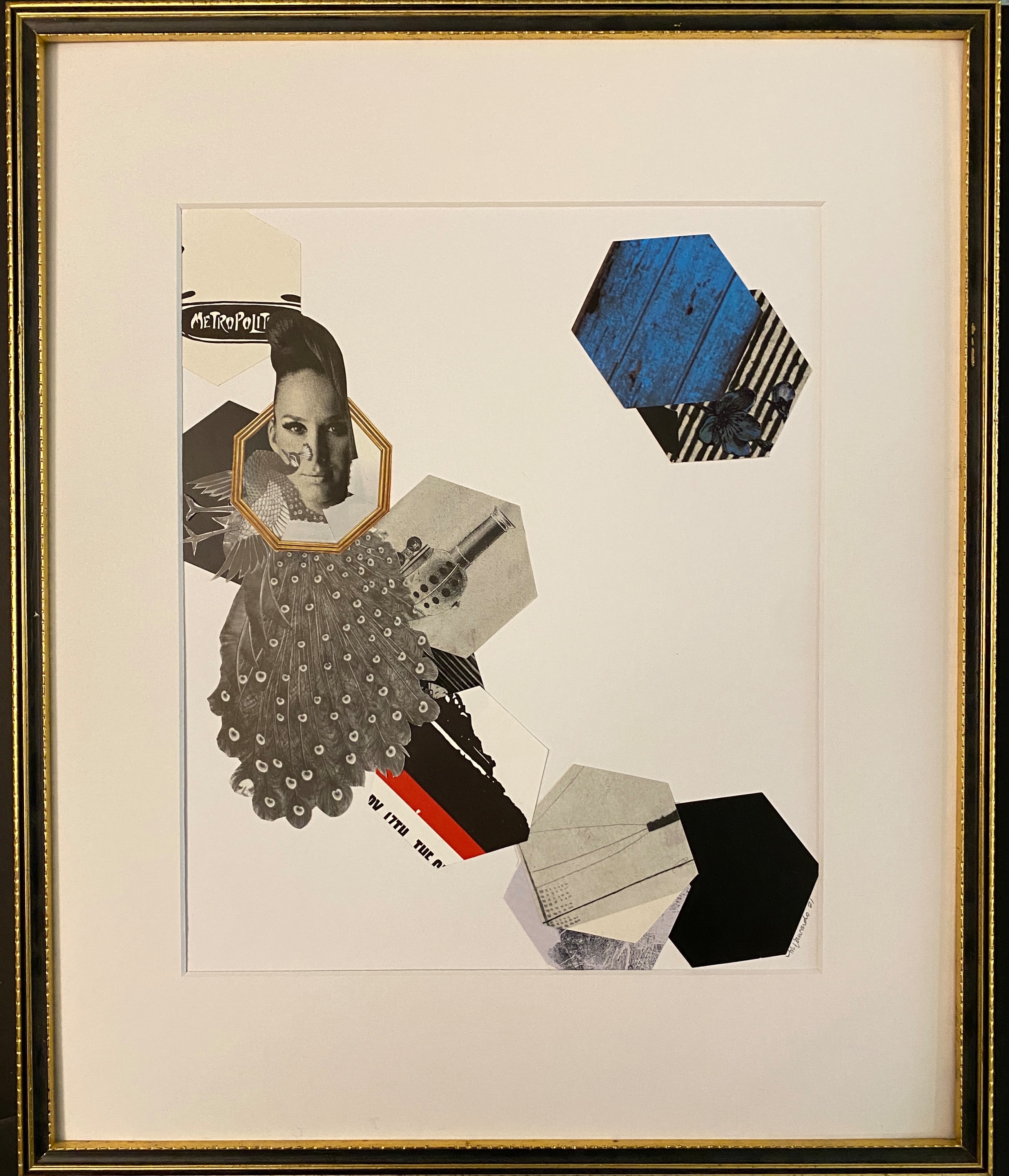 Vancardo mina metropolitan 15x18 collage 2021 juglcp