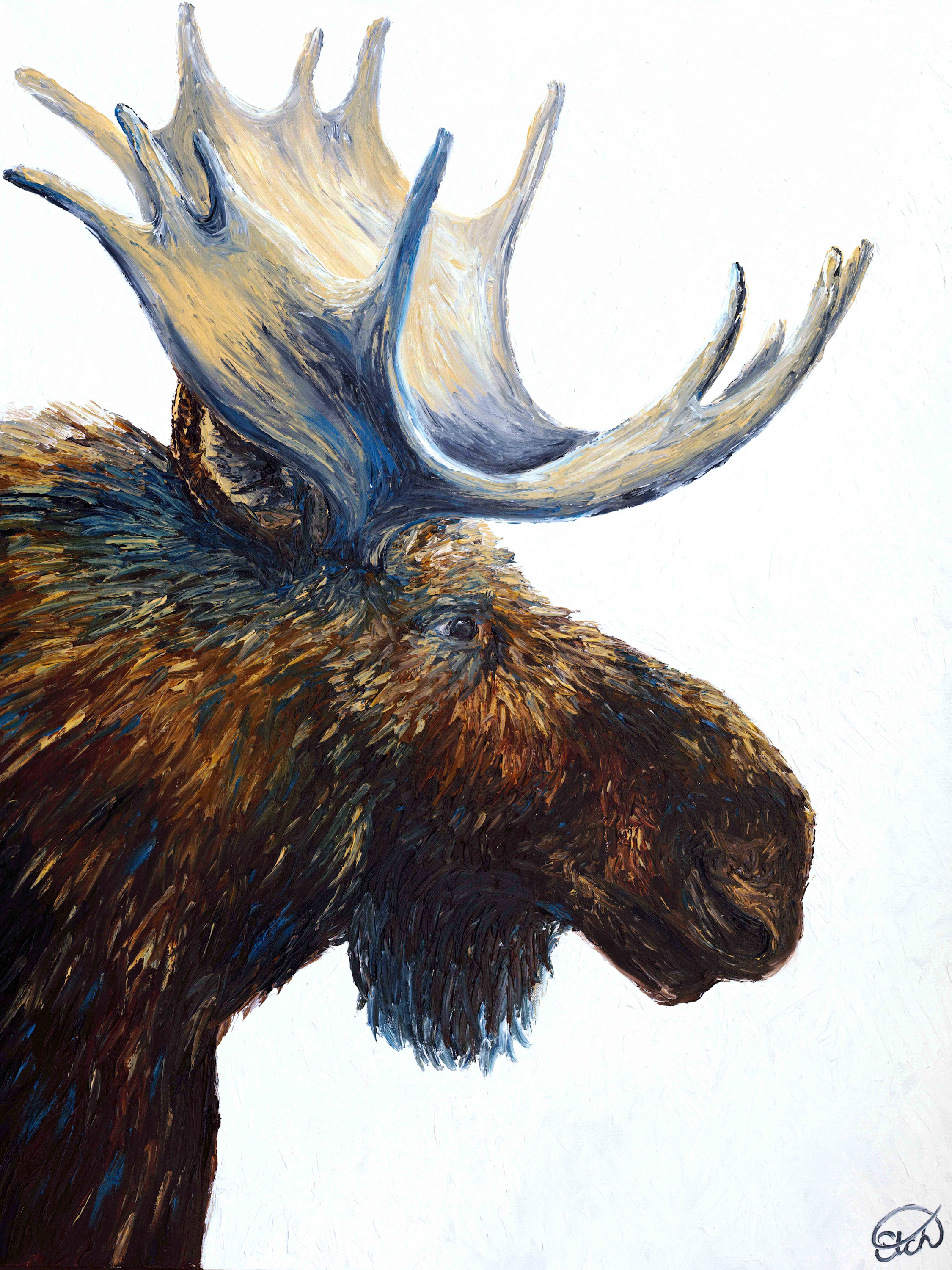 Portrait of a bull moose oojglj