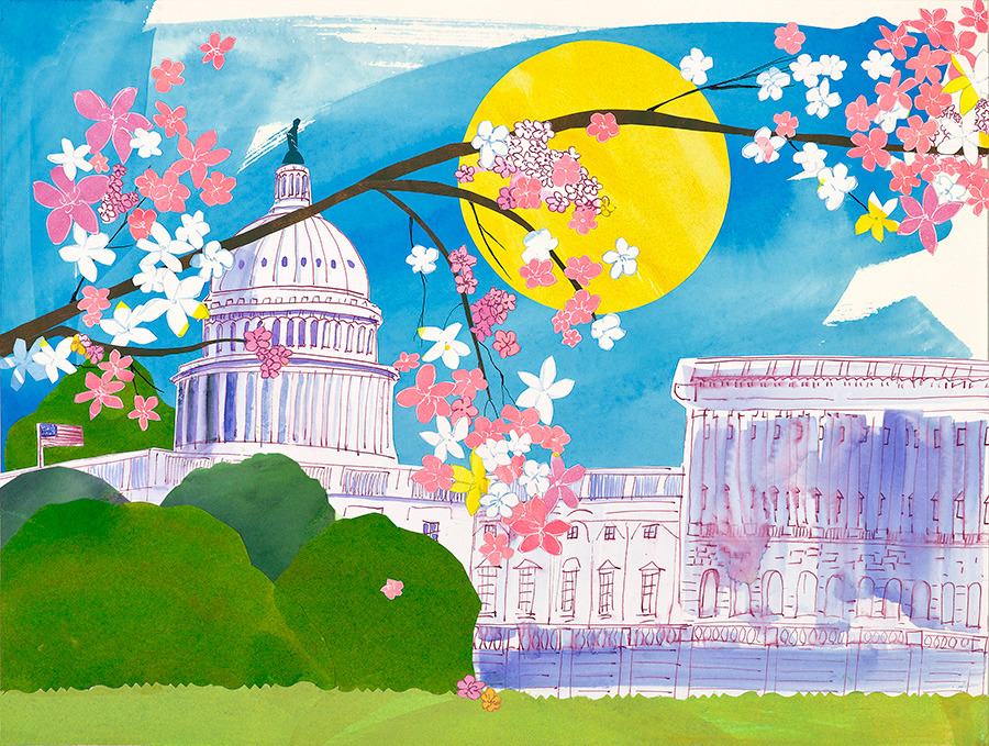 U.s. house in cherry blossoms k316qc