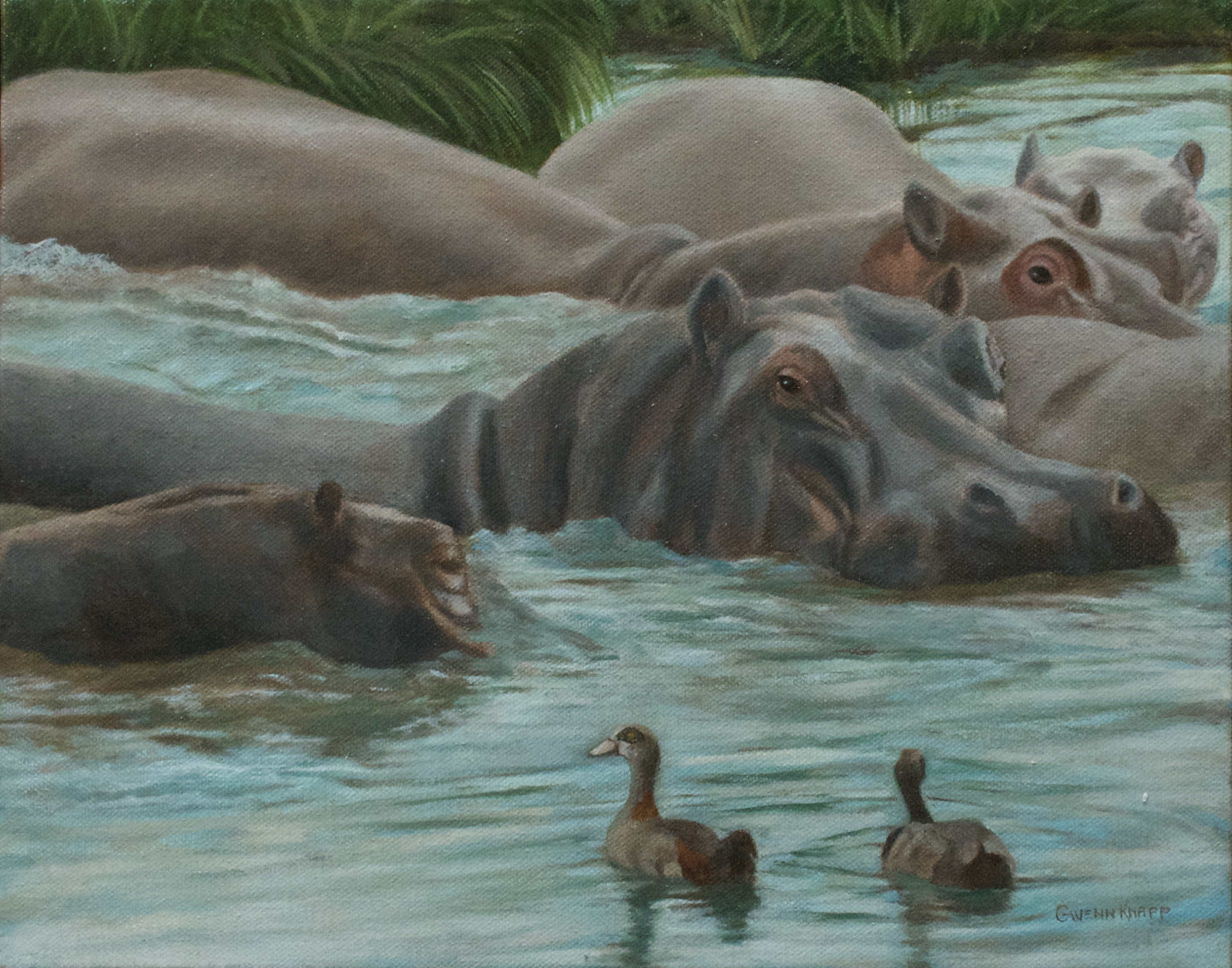 Bloatofhippos cunkln