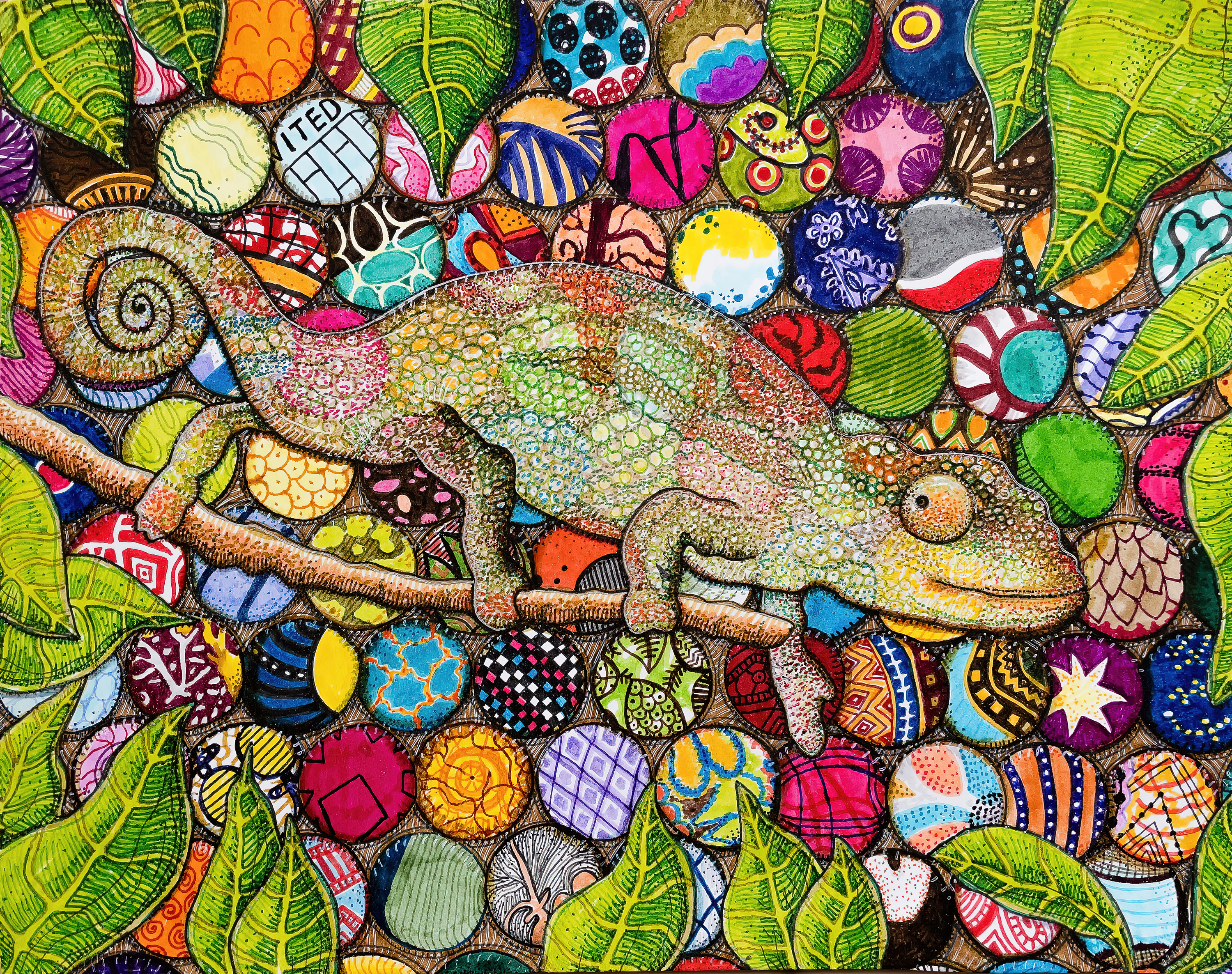 Chameleon ori wsyutg