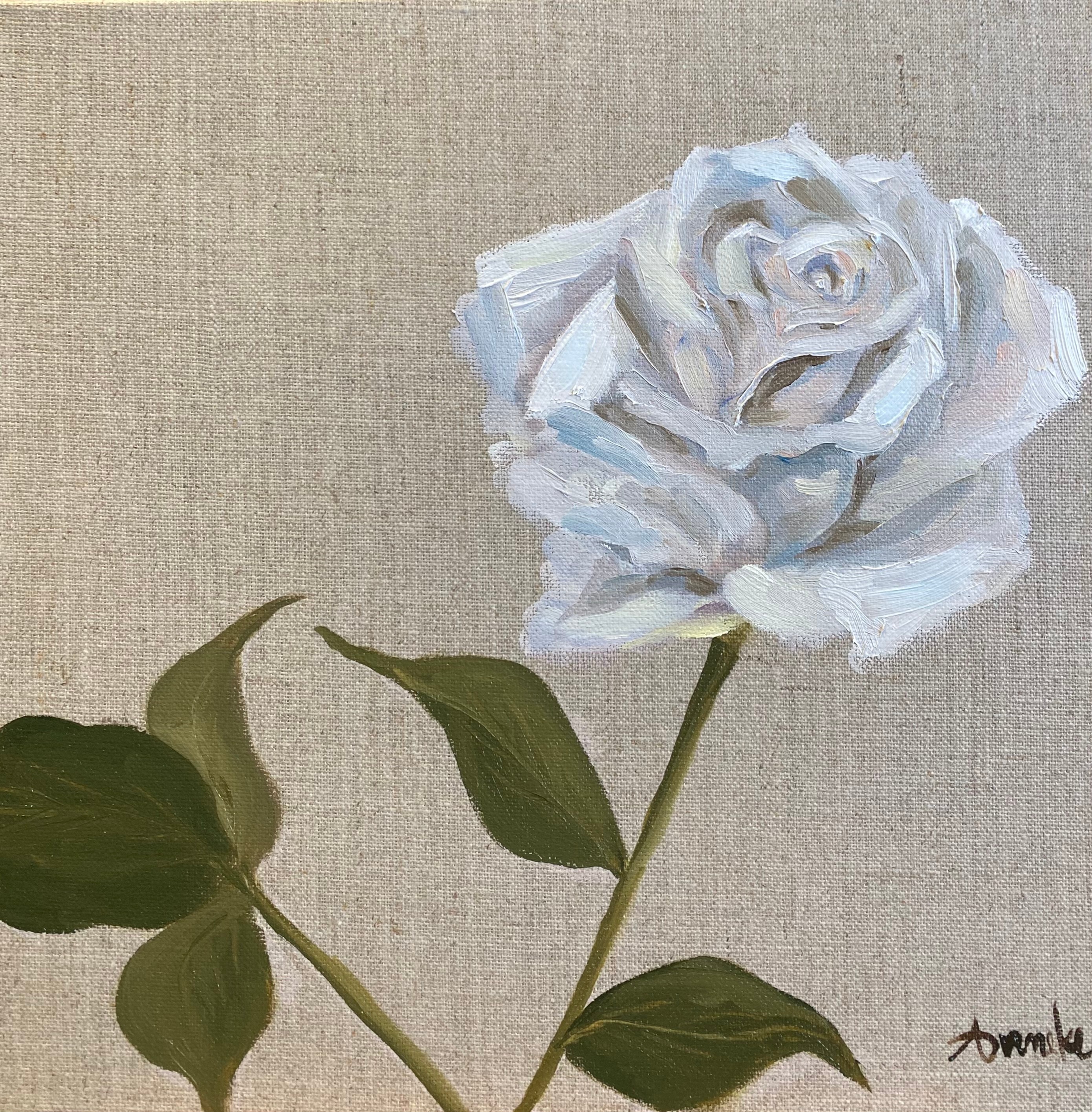 Floral white rose zjvhdc