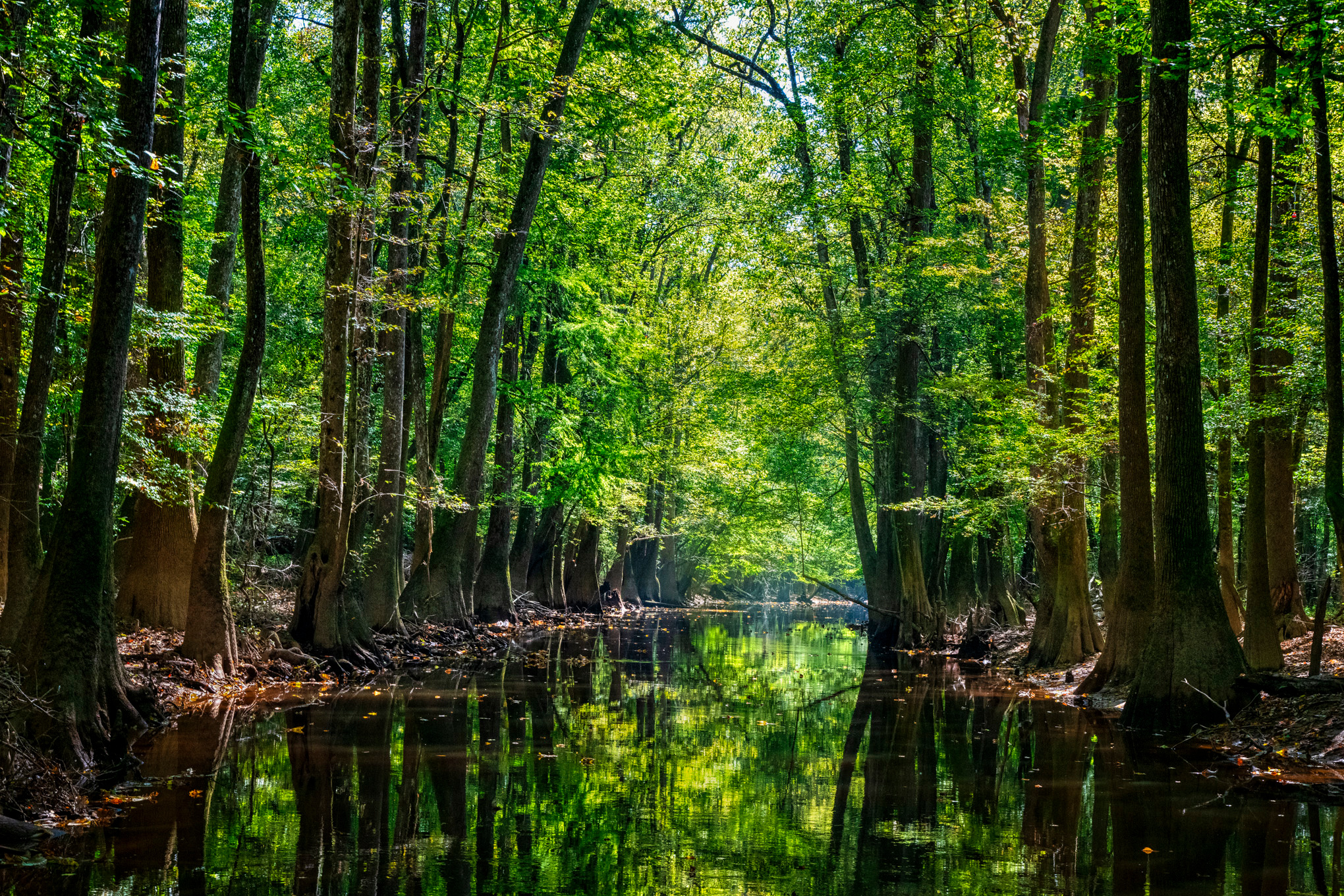 Andy crawford photography floating cedar creek   signed edition tpvwvh
