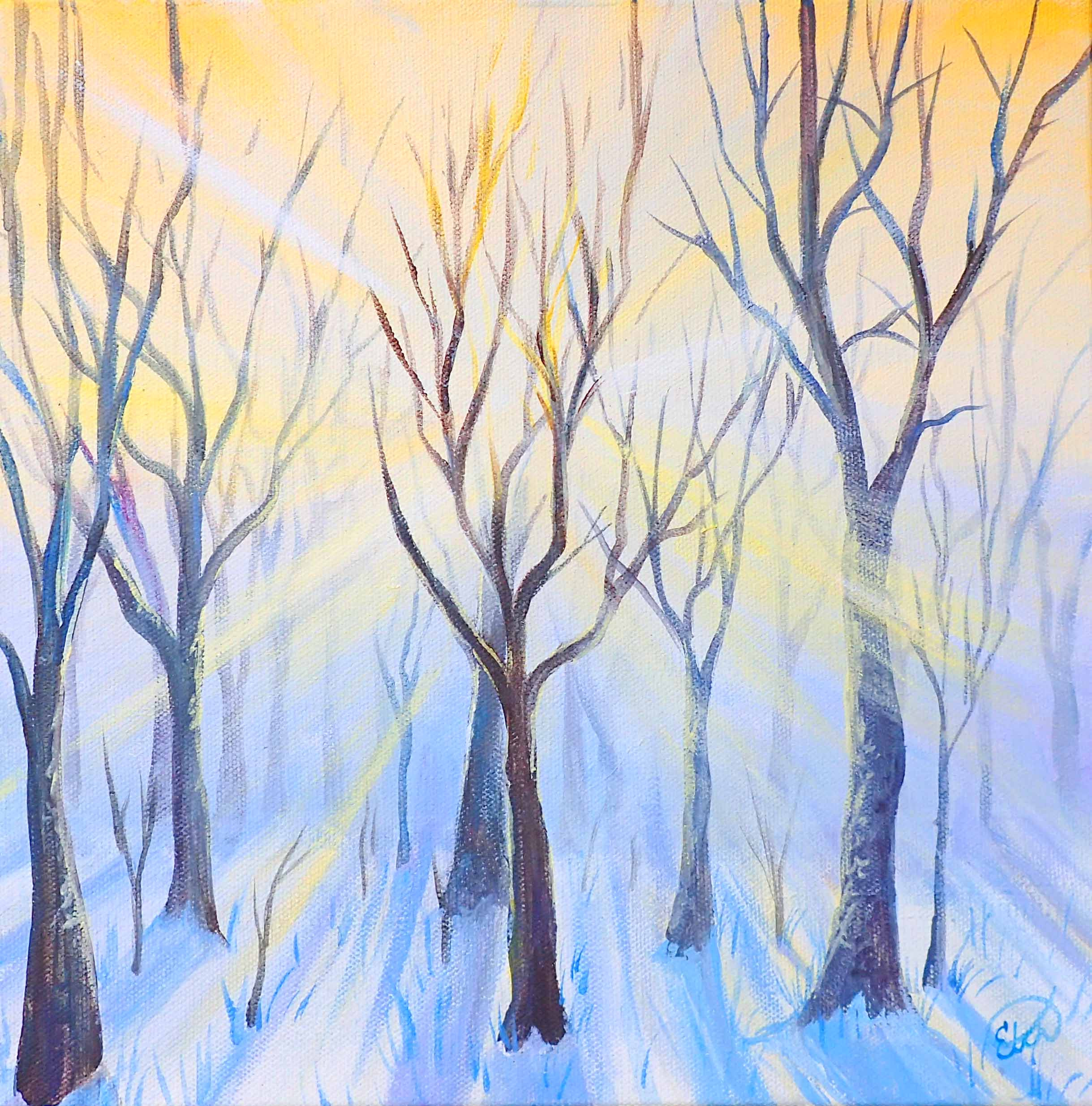 Winter morning sunlight through trees painting lifl2o