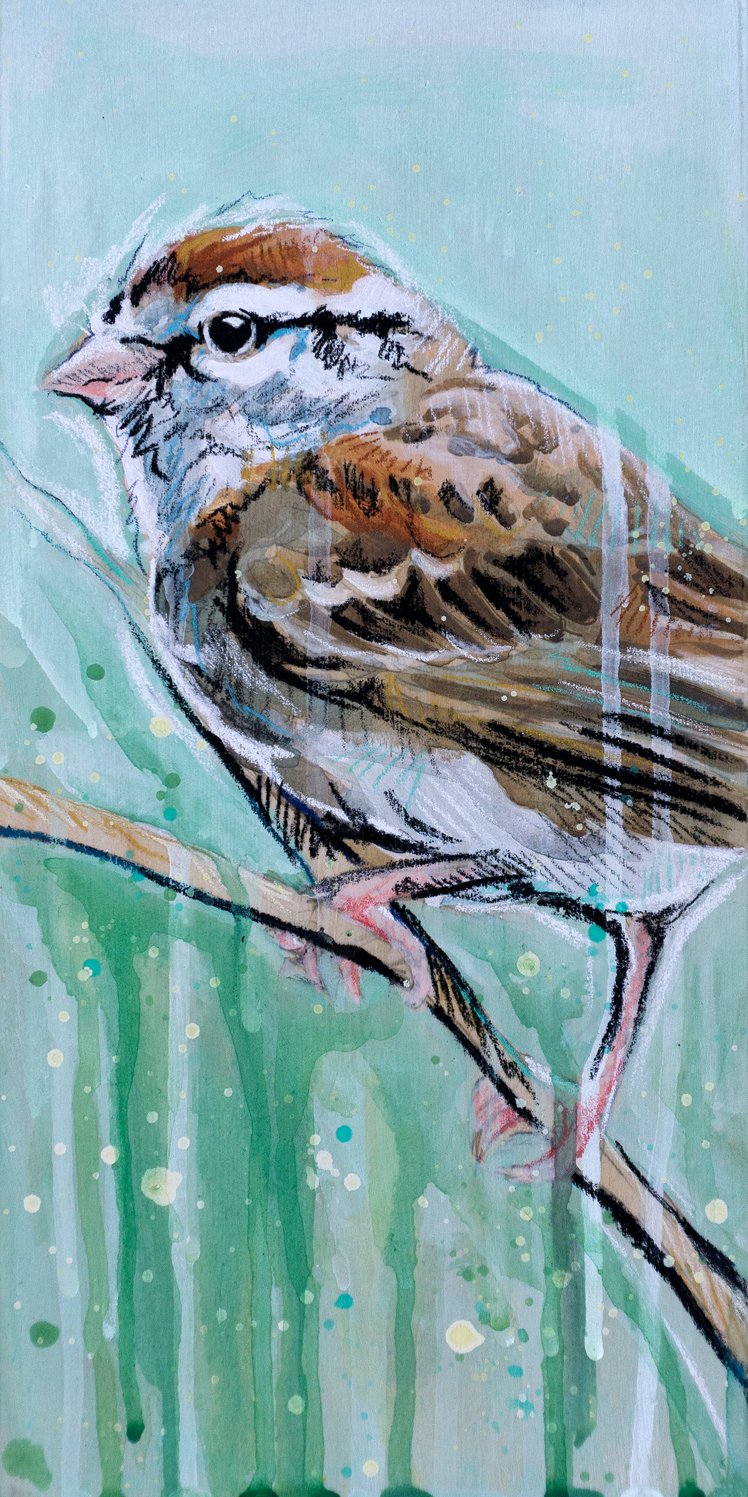 Chipping sparrow final prints nbftlp