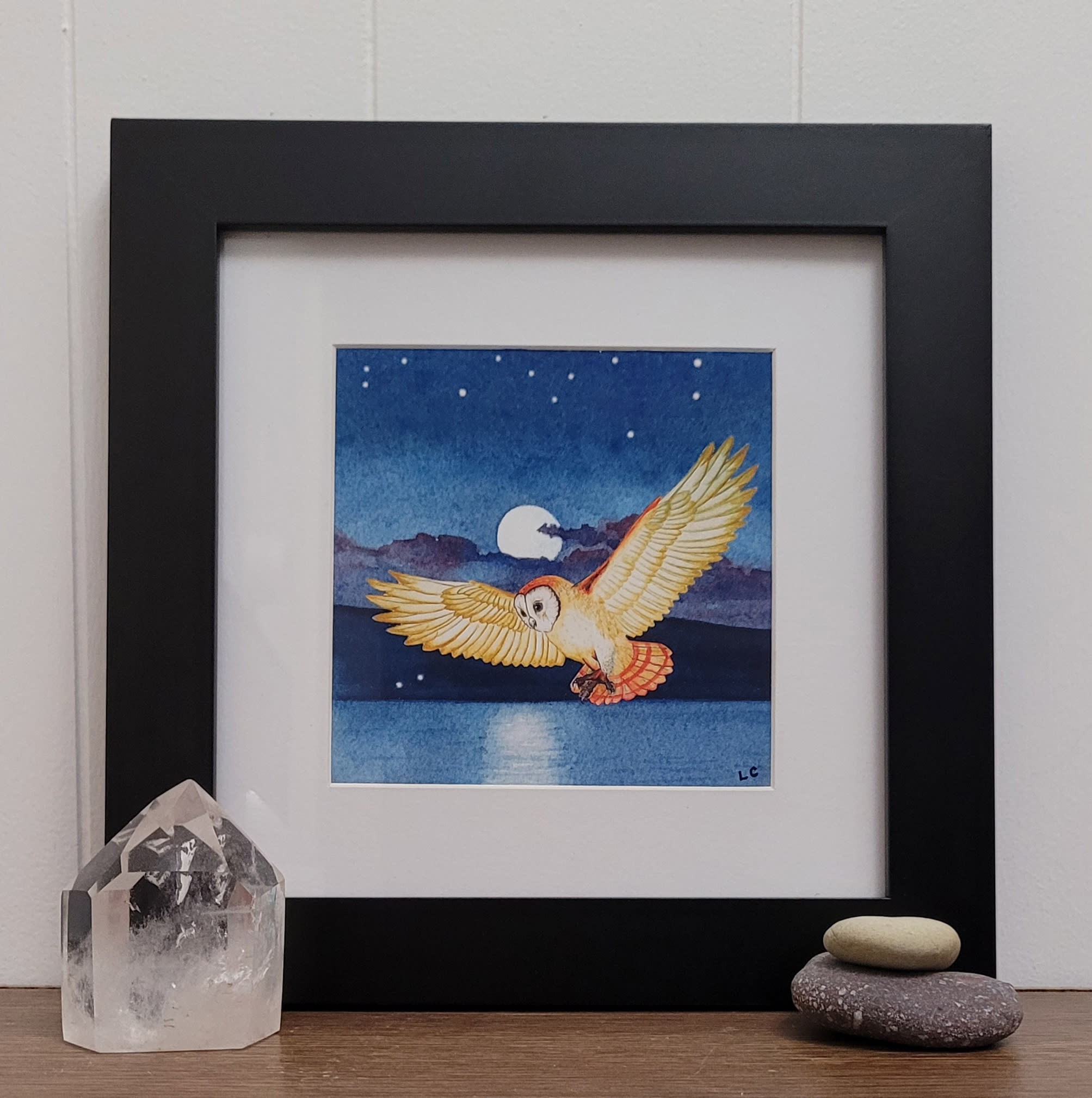 Moonlight owl print framed v4okbo