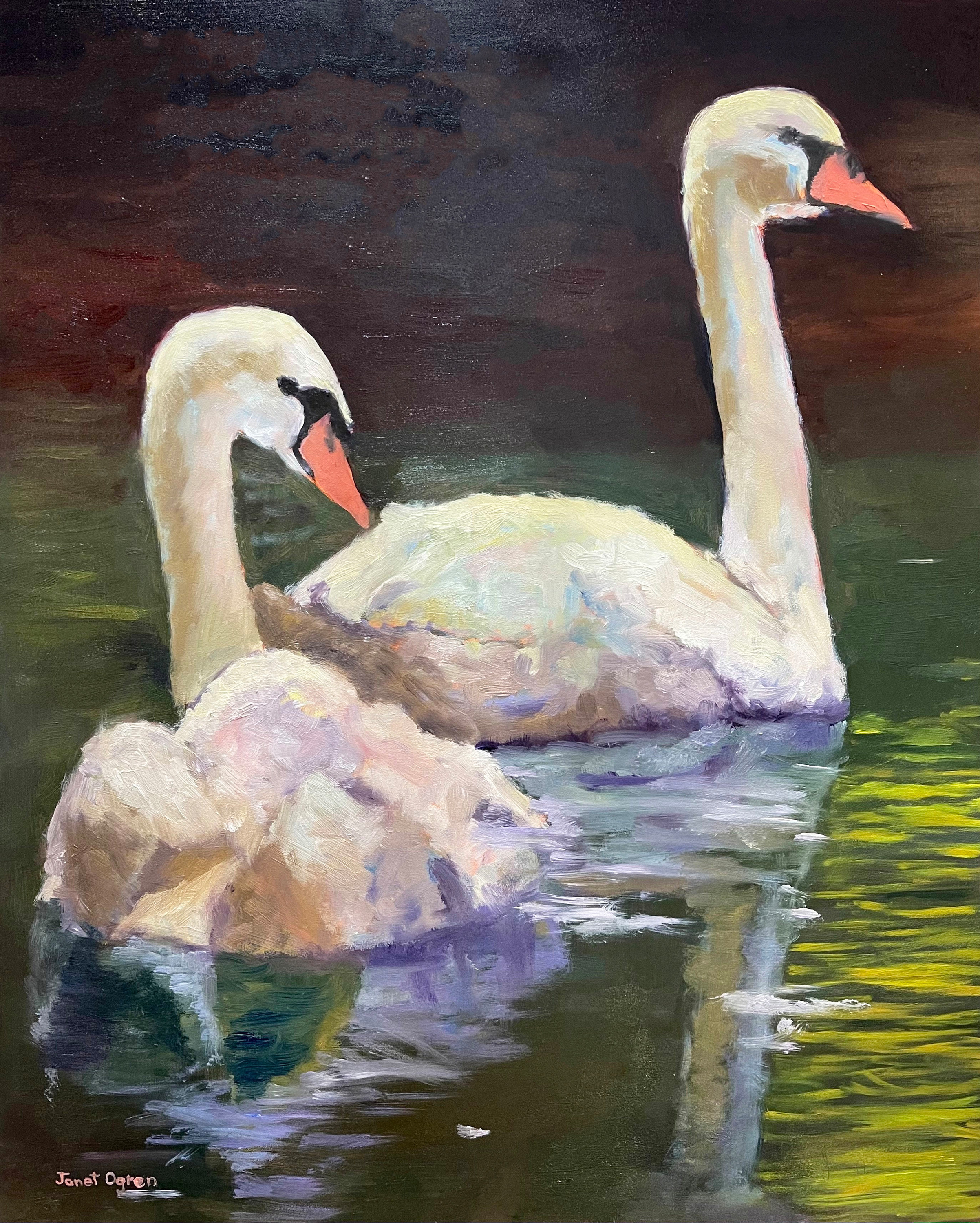 Swans in love oil painting print gnmw30