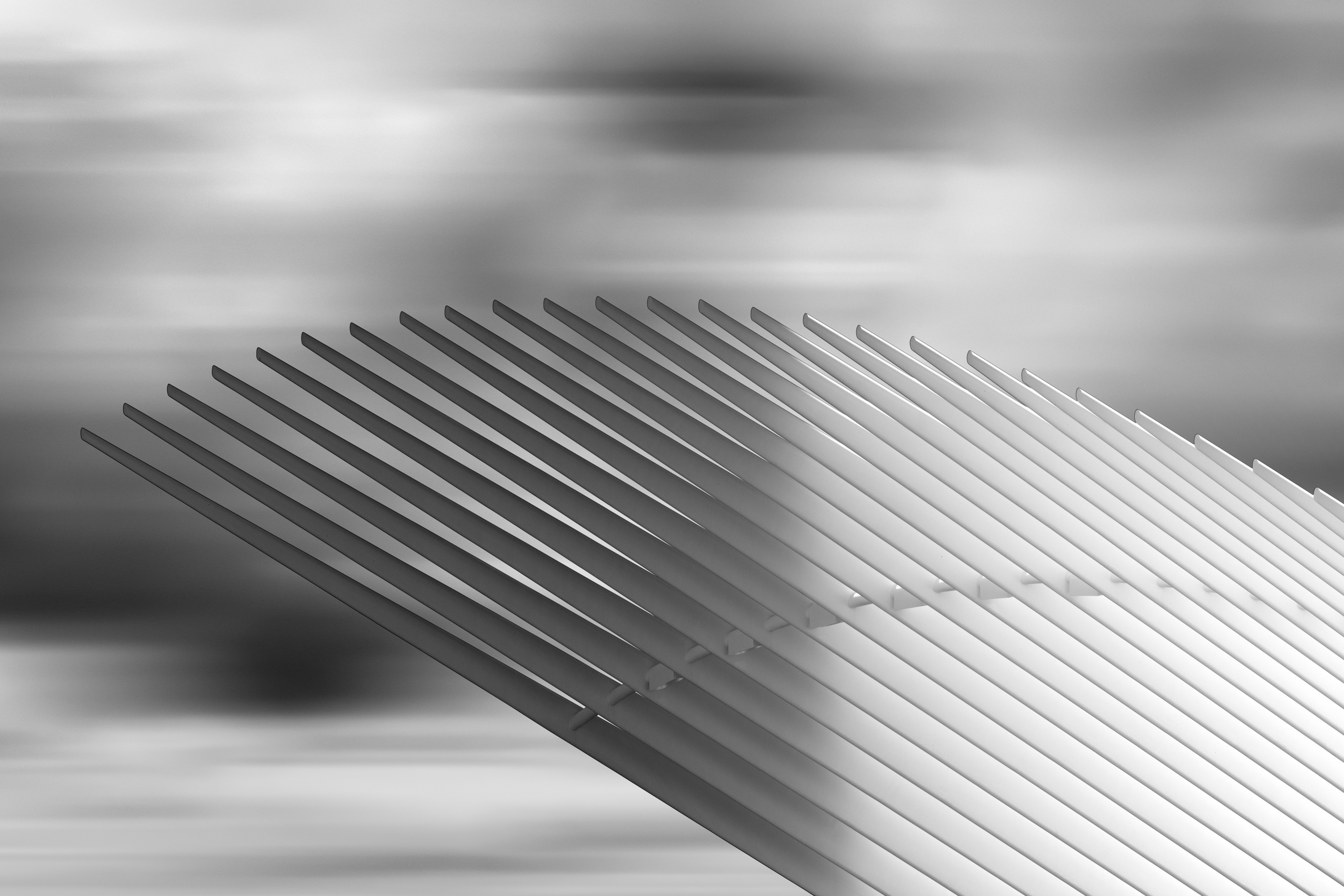 Oculus 11 yvxfnj