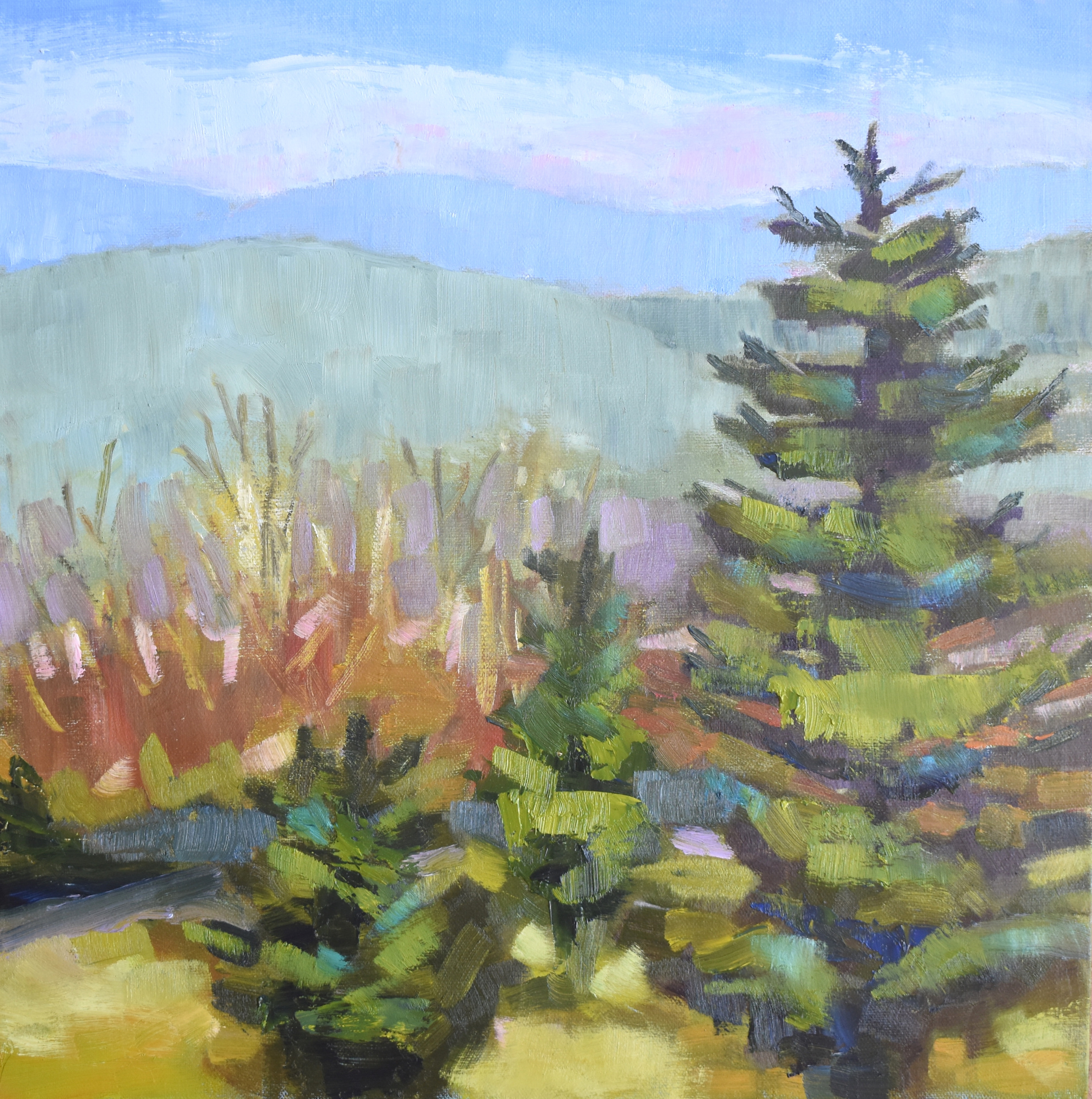 Spring is here appalachian mountain oil painting sharon guy vmfq8m