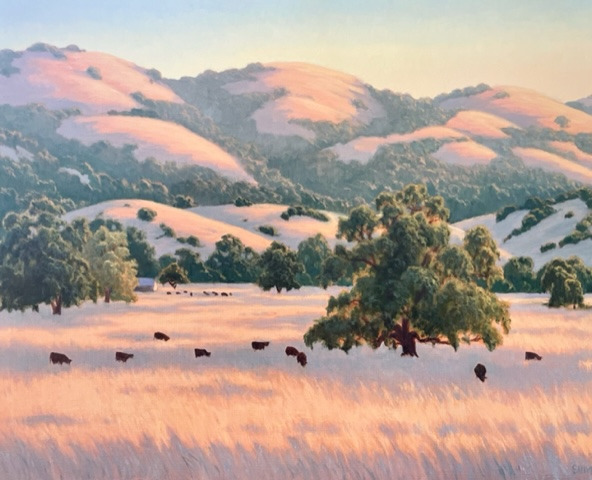 California hills oaks and cattle golaty