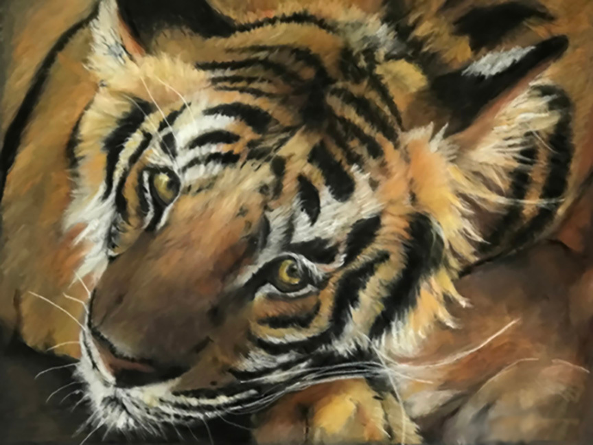 Tiger 40x30 blur signed small2a elspgr