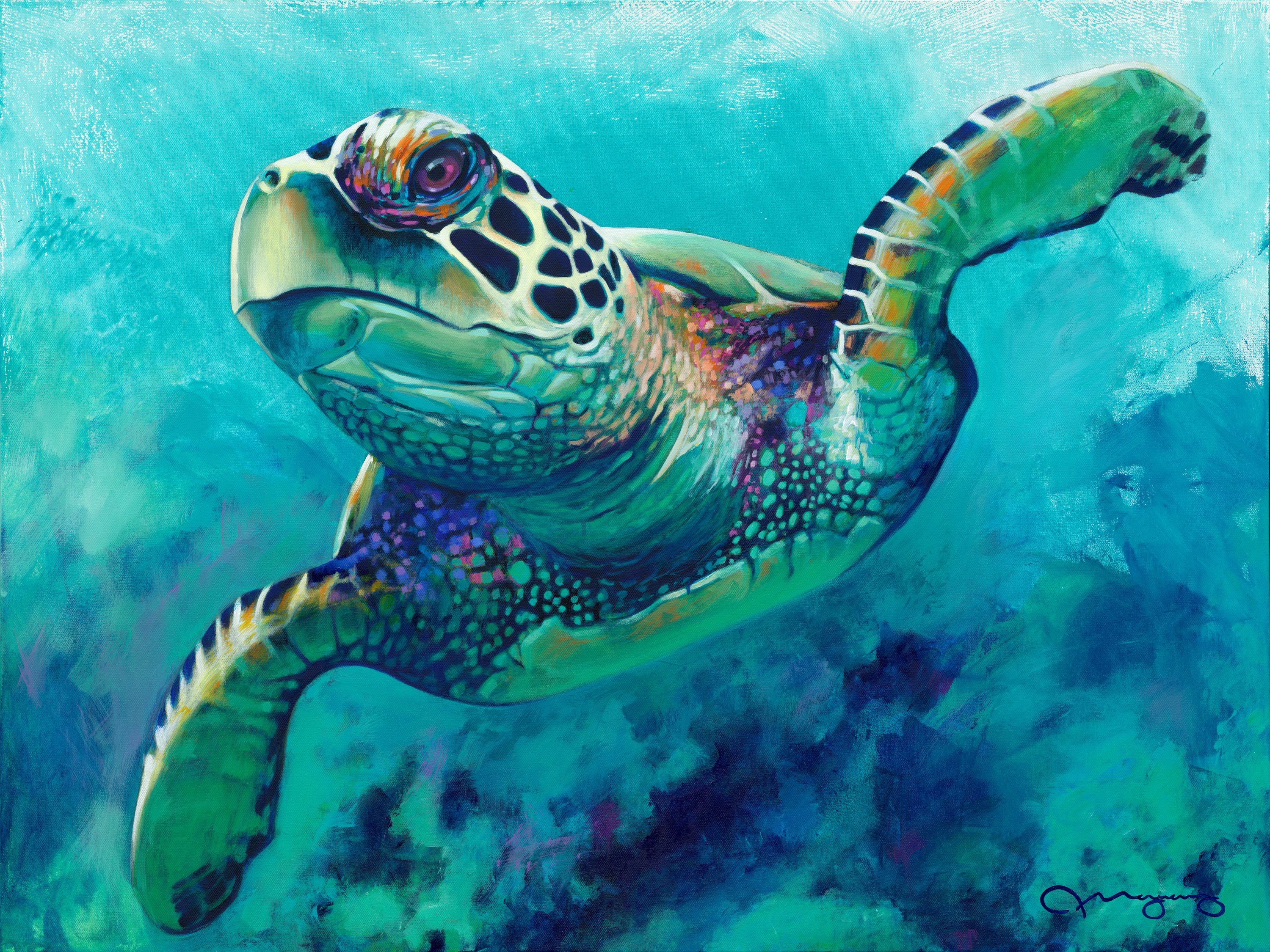 Turtle 48x36 gallery bsatxx
