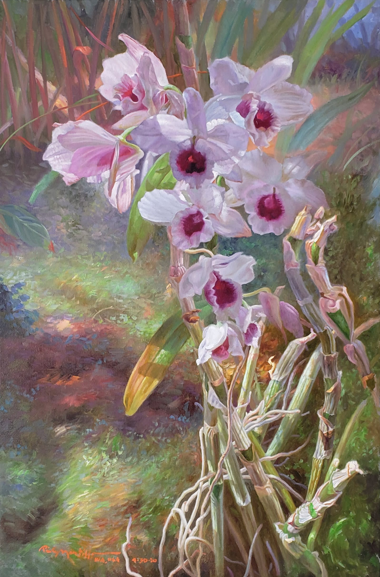 Dendrobium yukidaruma king 16in. x 24in. oil on canvas iubmp6
