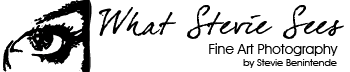 whatsteviesees