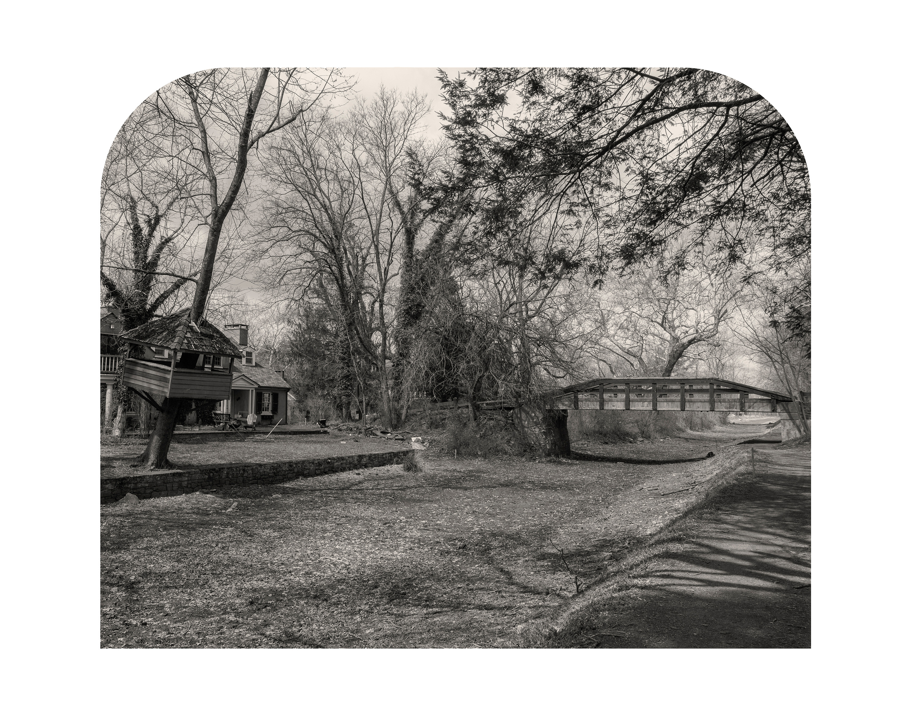 Treehouse bridge 14x11canvasfinal print sharpened shkn7m