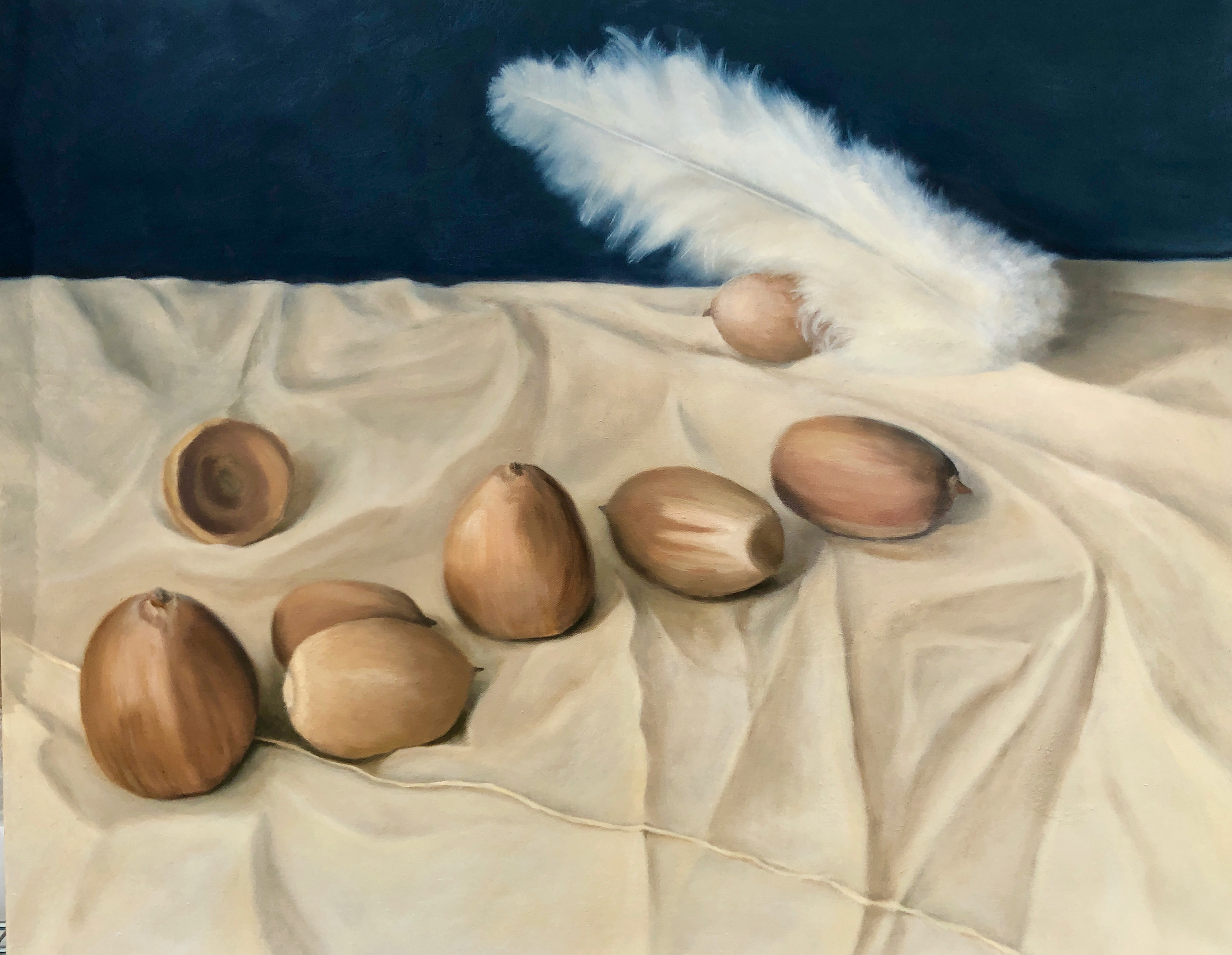 Acorns and feather zbs4s0