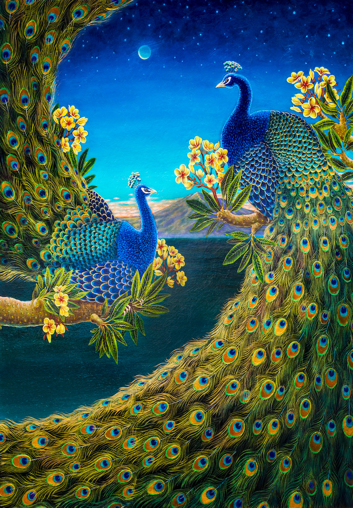 Peacocks 1000 lhyelr