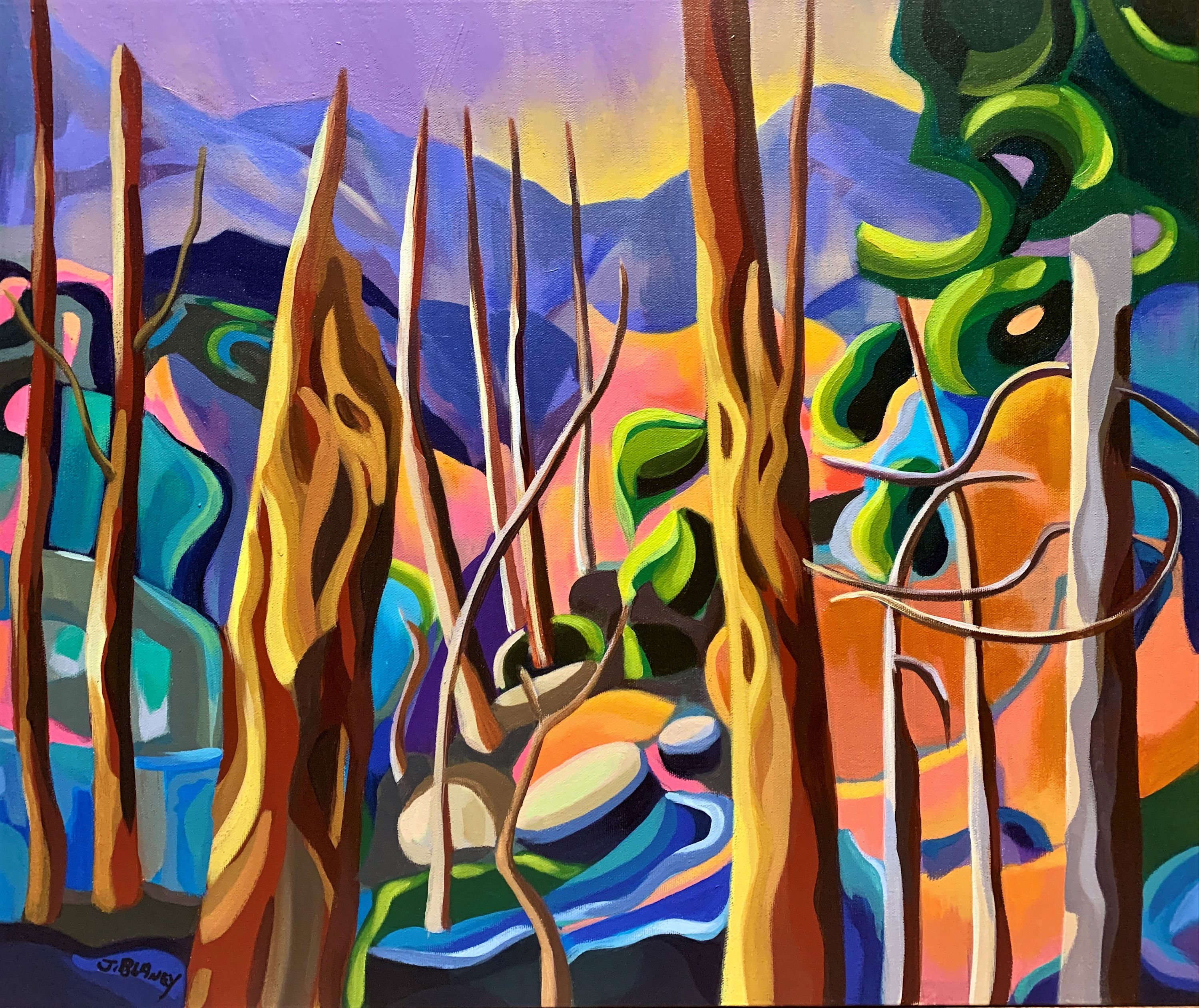 Salt spring sunrise jan updated ap51s2