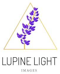 Iw3fj0qz0mnlz7zhndkb