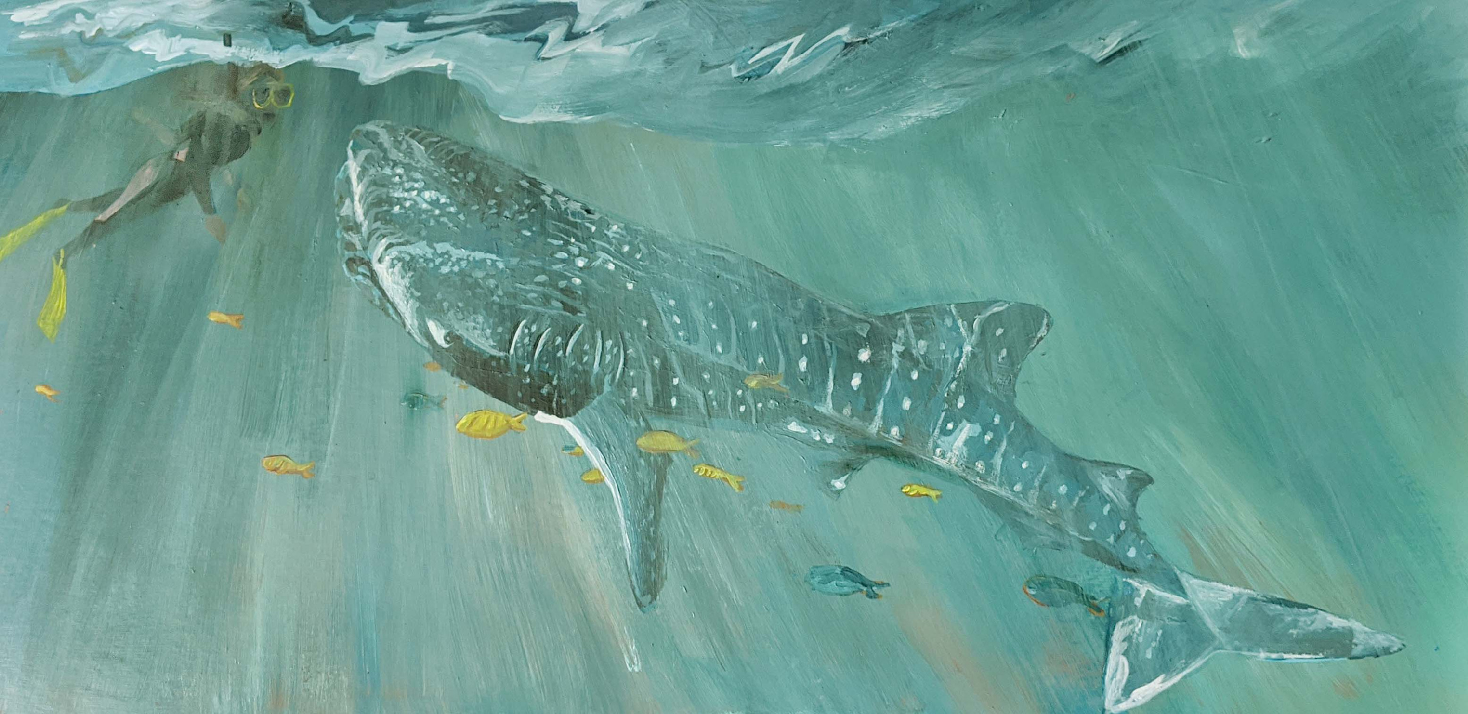 Whale shark painting v1 uwbzc4