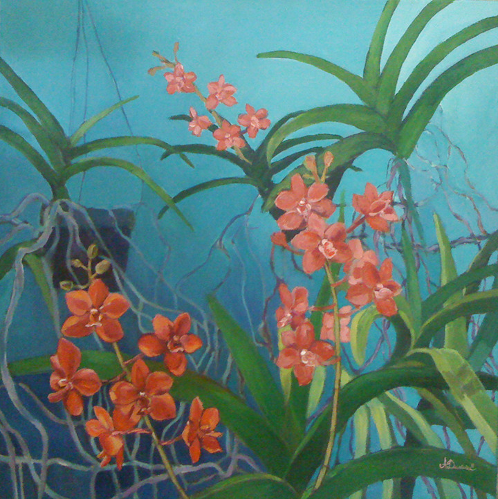 Duvivier 20 x20 red orchid eywzxp