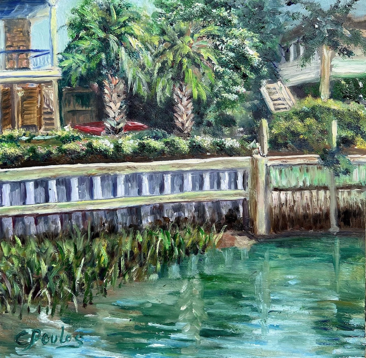 Tidal creek on palmetto jopfak