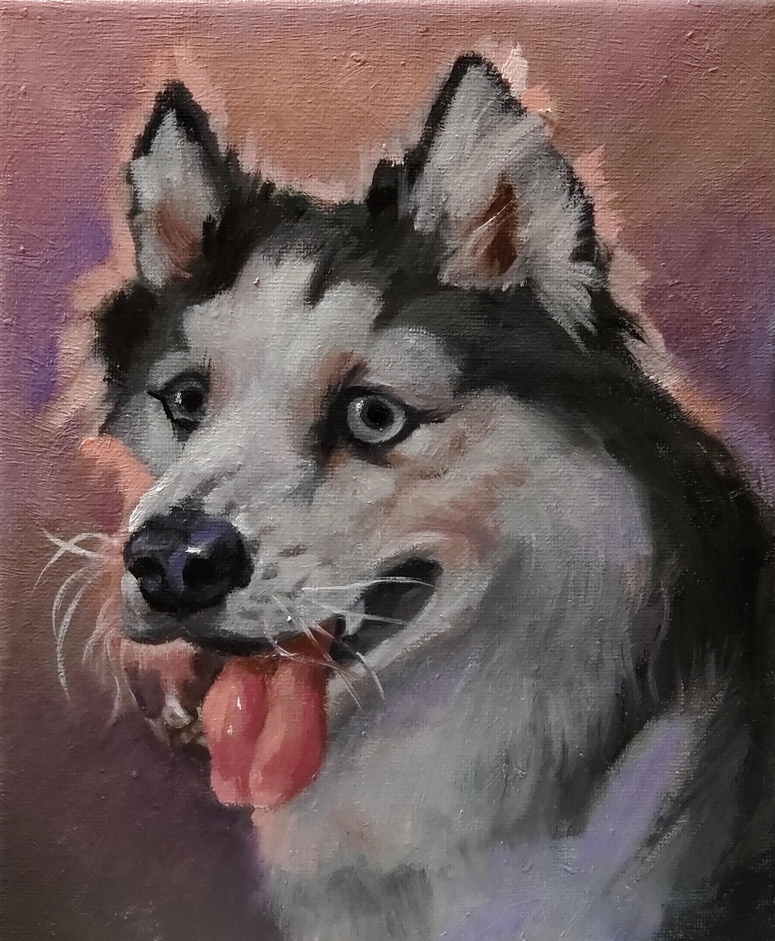 Dog portrait2 yzful2