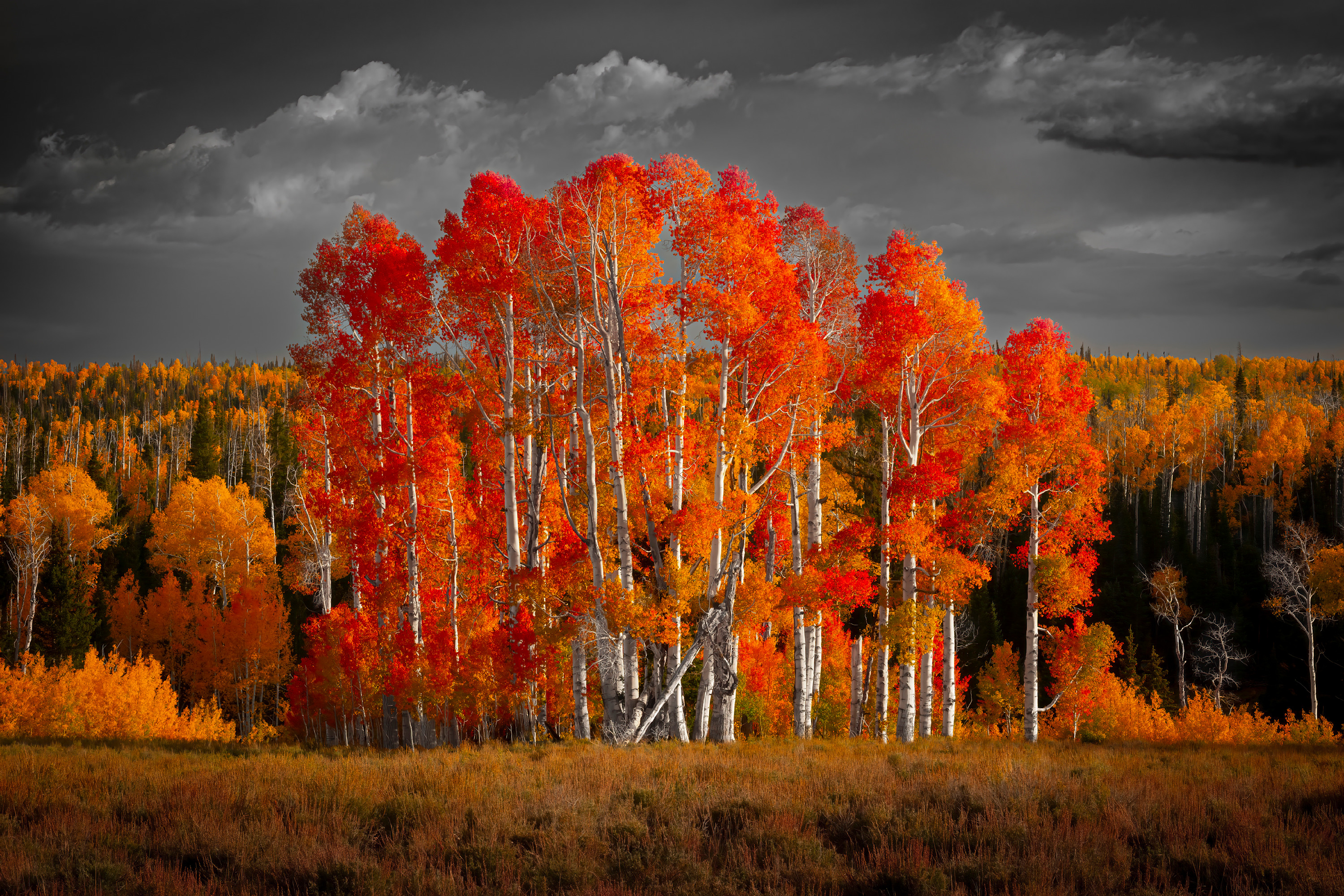 Topaz denoise ai 4838 tswovb