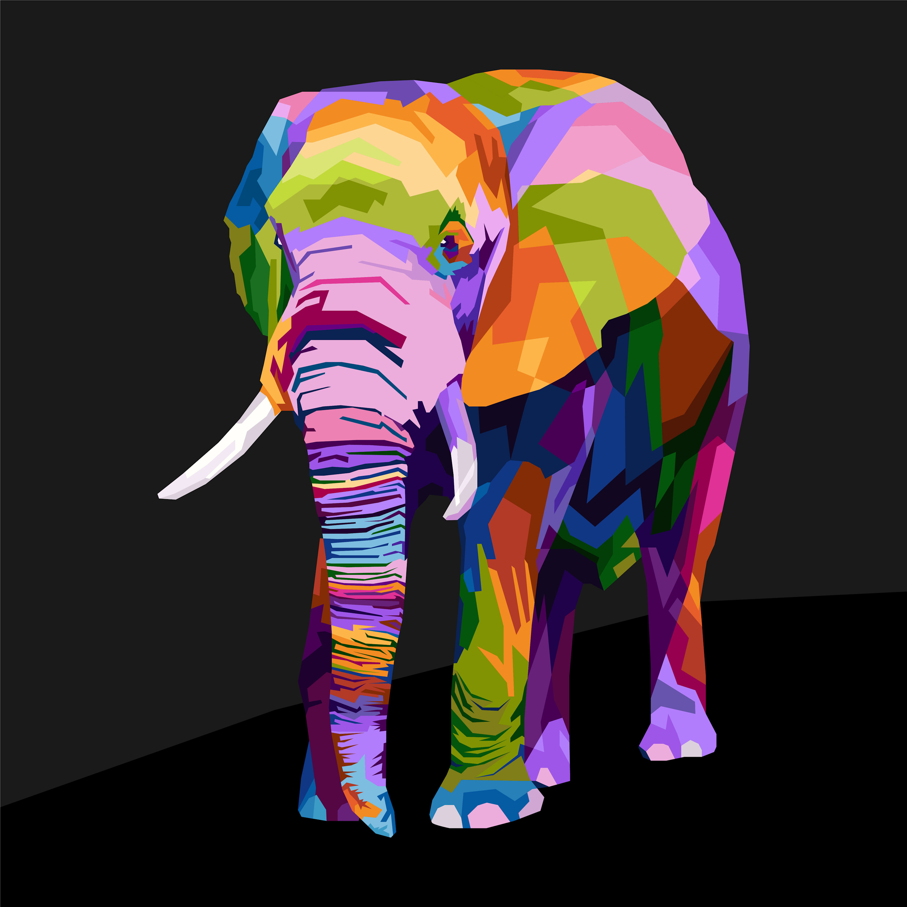 Elephant 2 mbpro8