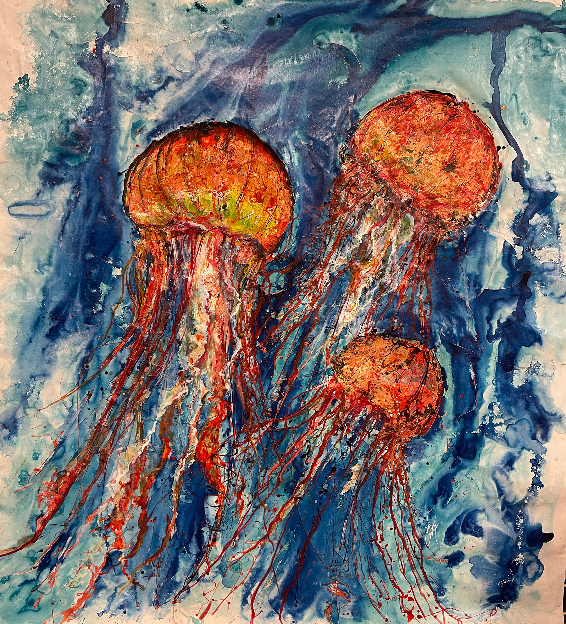 Jellyfish1 bwg3tn