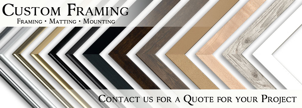 
        <div class='title'>
          Custom Framing
        </div>
       
        <div class='description'>
          Custom Framing, Matting, & Mounting
        </div>
      