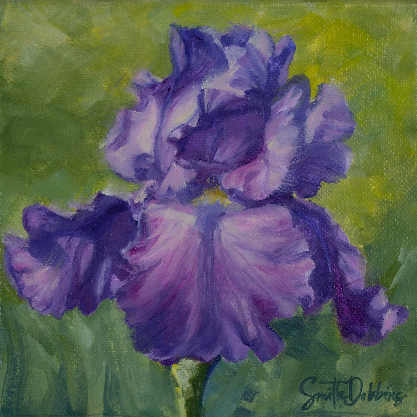 Purple iris pcleok
