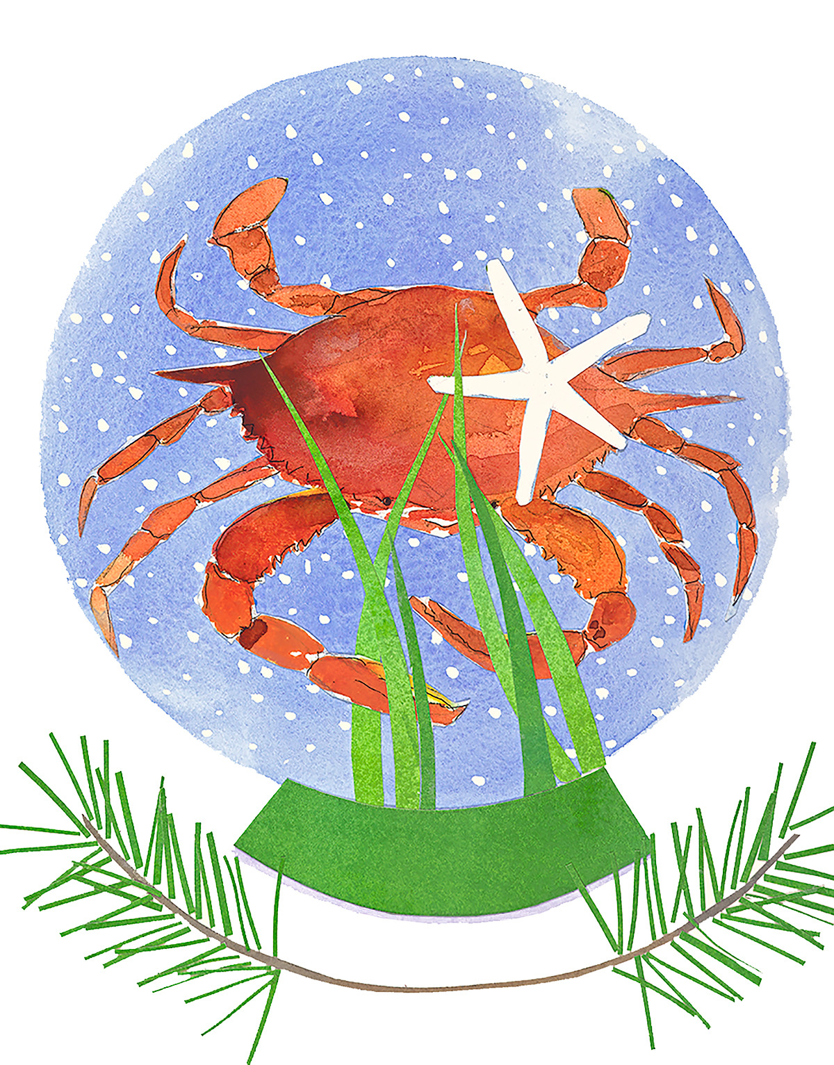 Liz lind starfish crab snow globe online inlakv