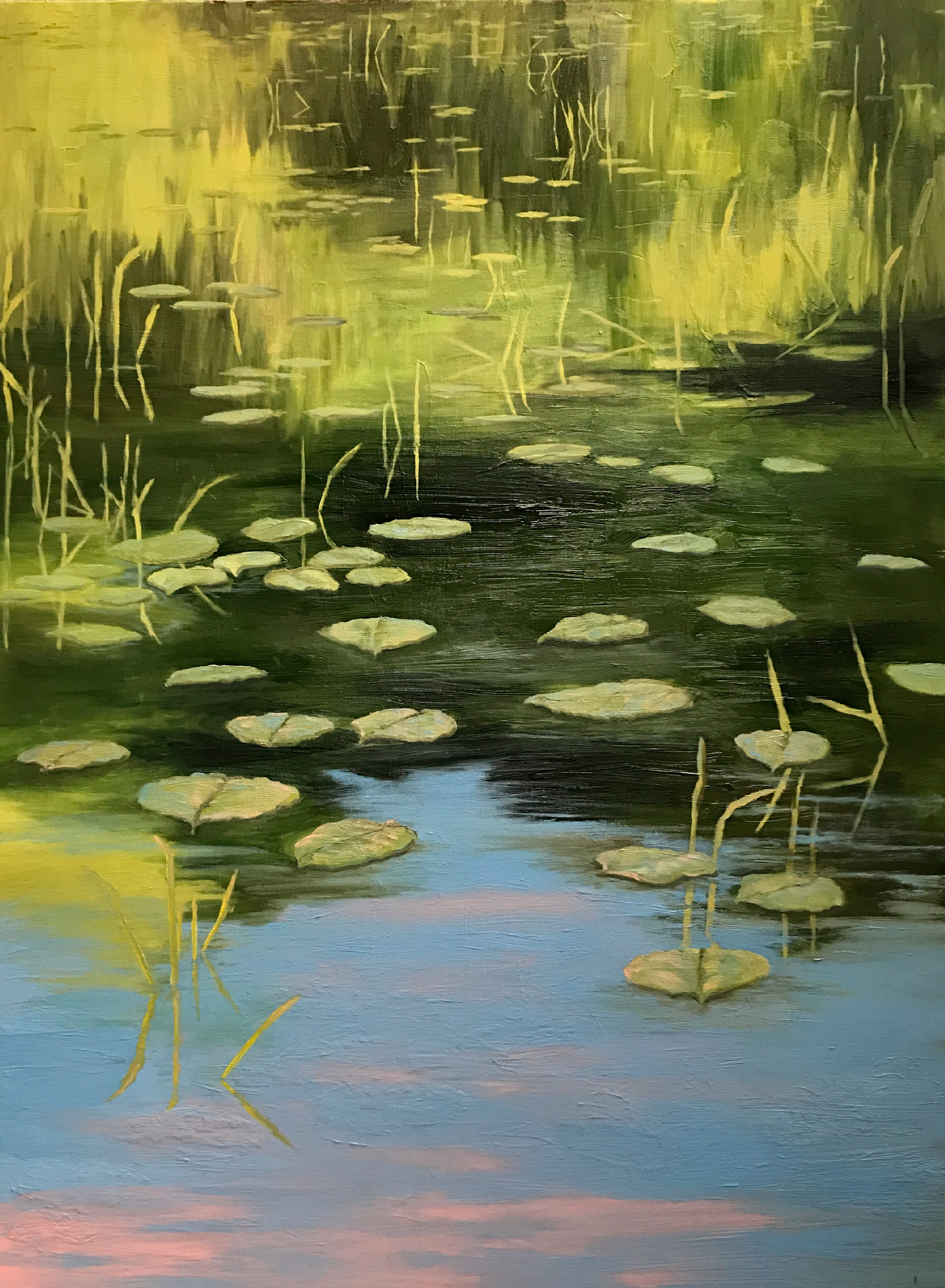 Hobbs lily pond lkfhuj