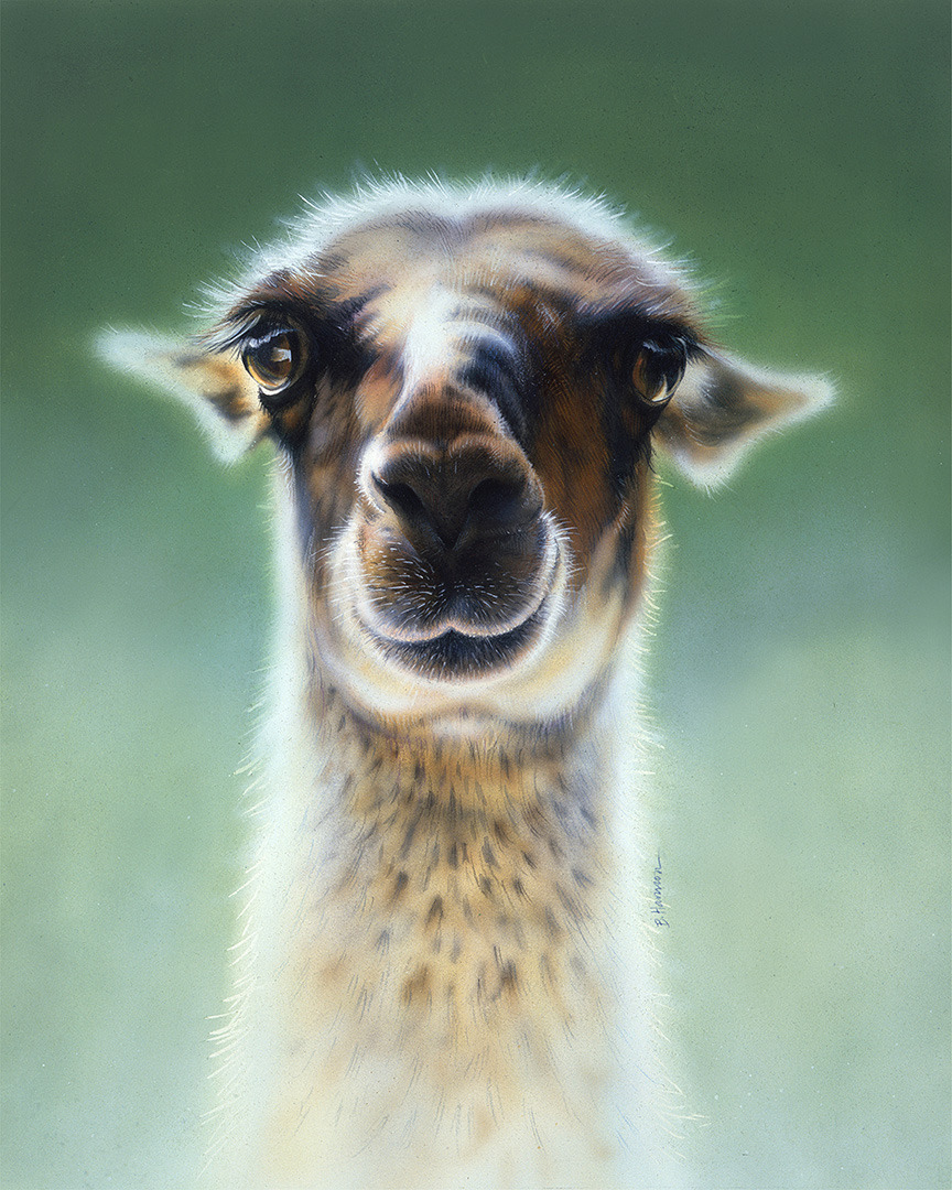 Dolly llama72 dazkho