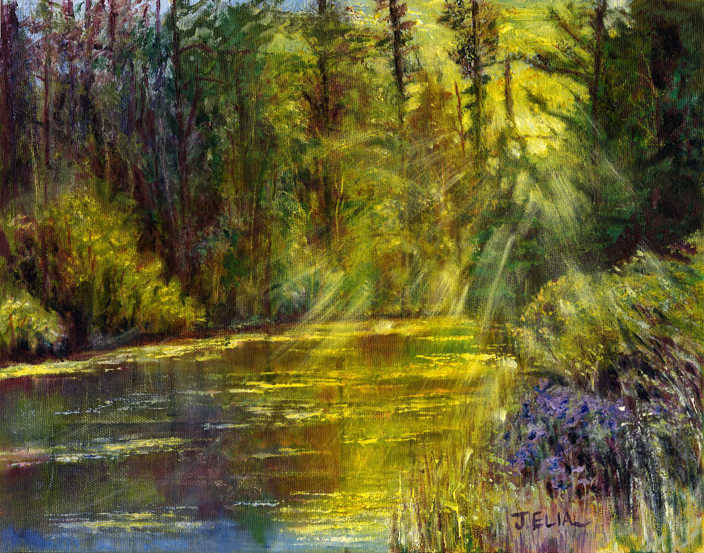 Morningshimmer100 tuzx6l