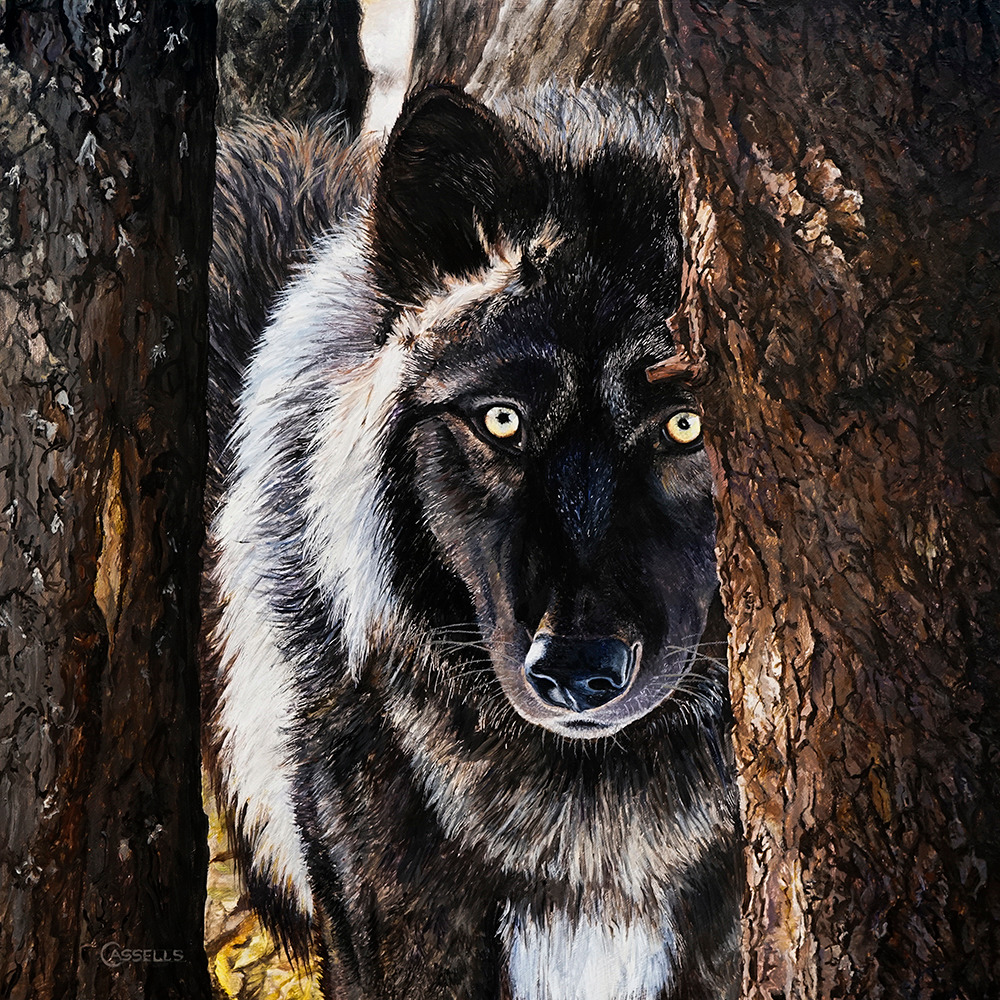 Laara cassells   i see you   timber wolf eaitl9