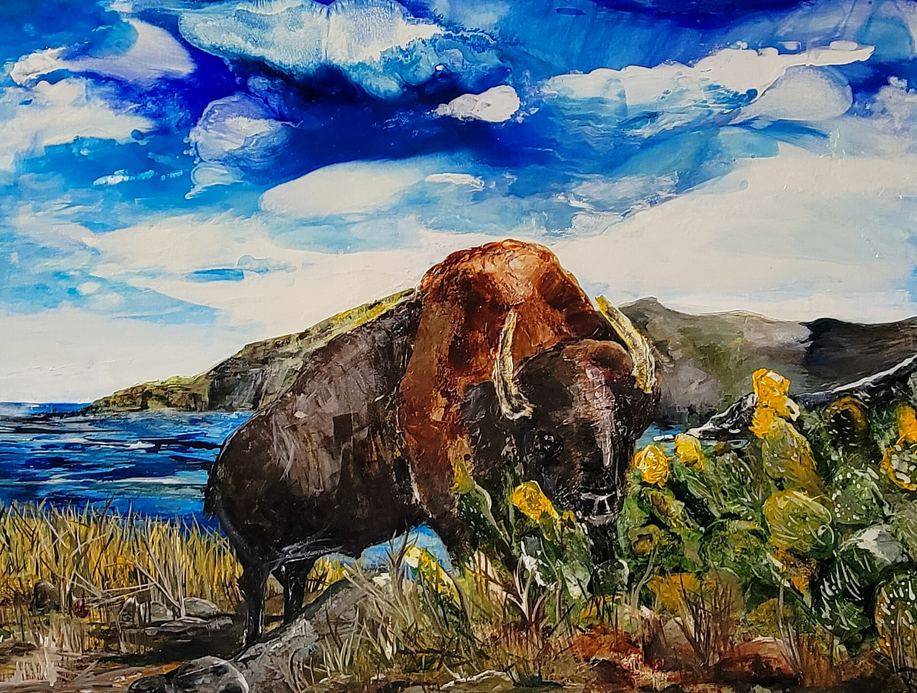Catalina bison srilwm