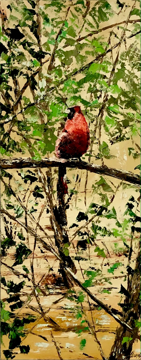 Cardinal bird. 10 hqqu8b