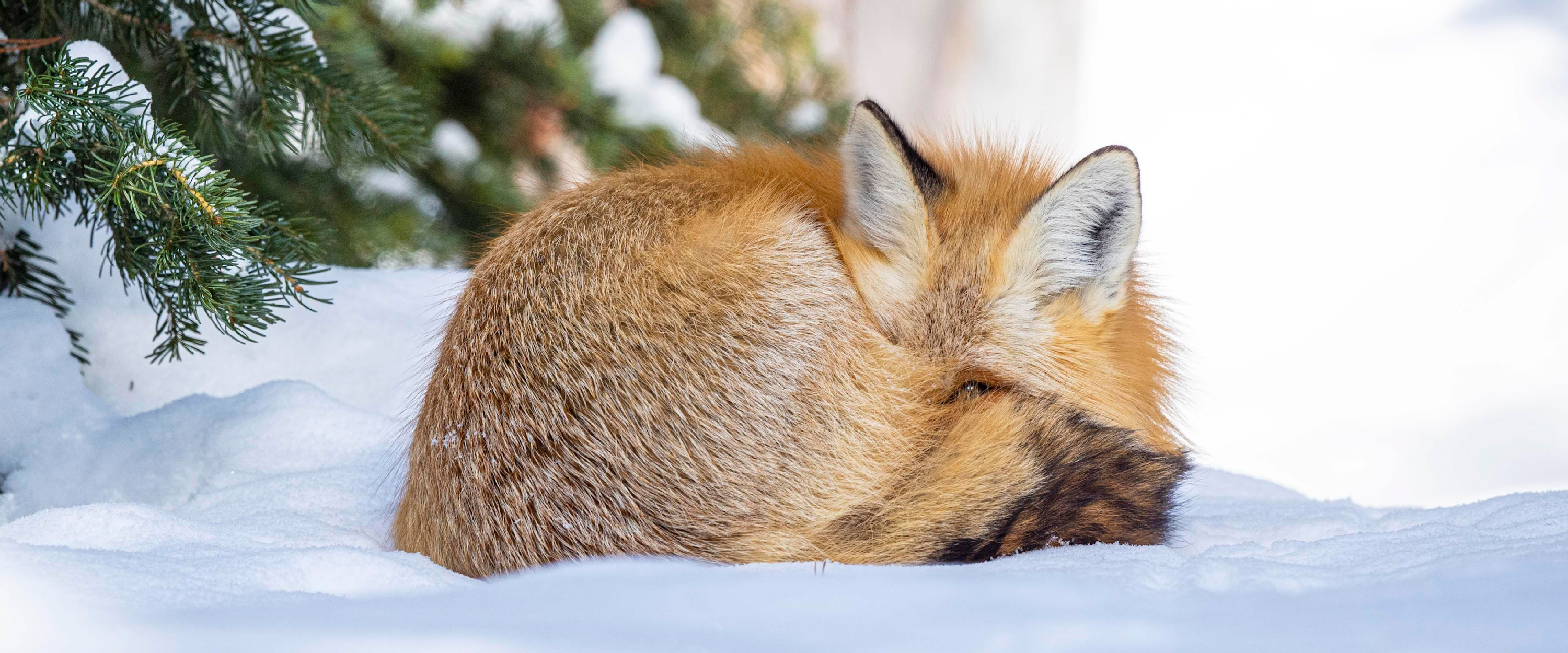 
        <div class='title'>
          Sleeping With One Eye Open 2
        </div>
       