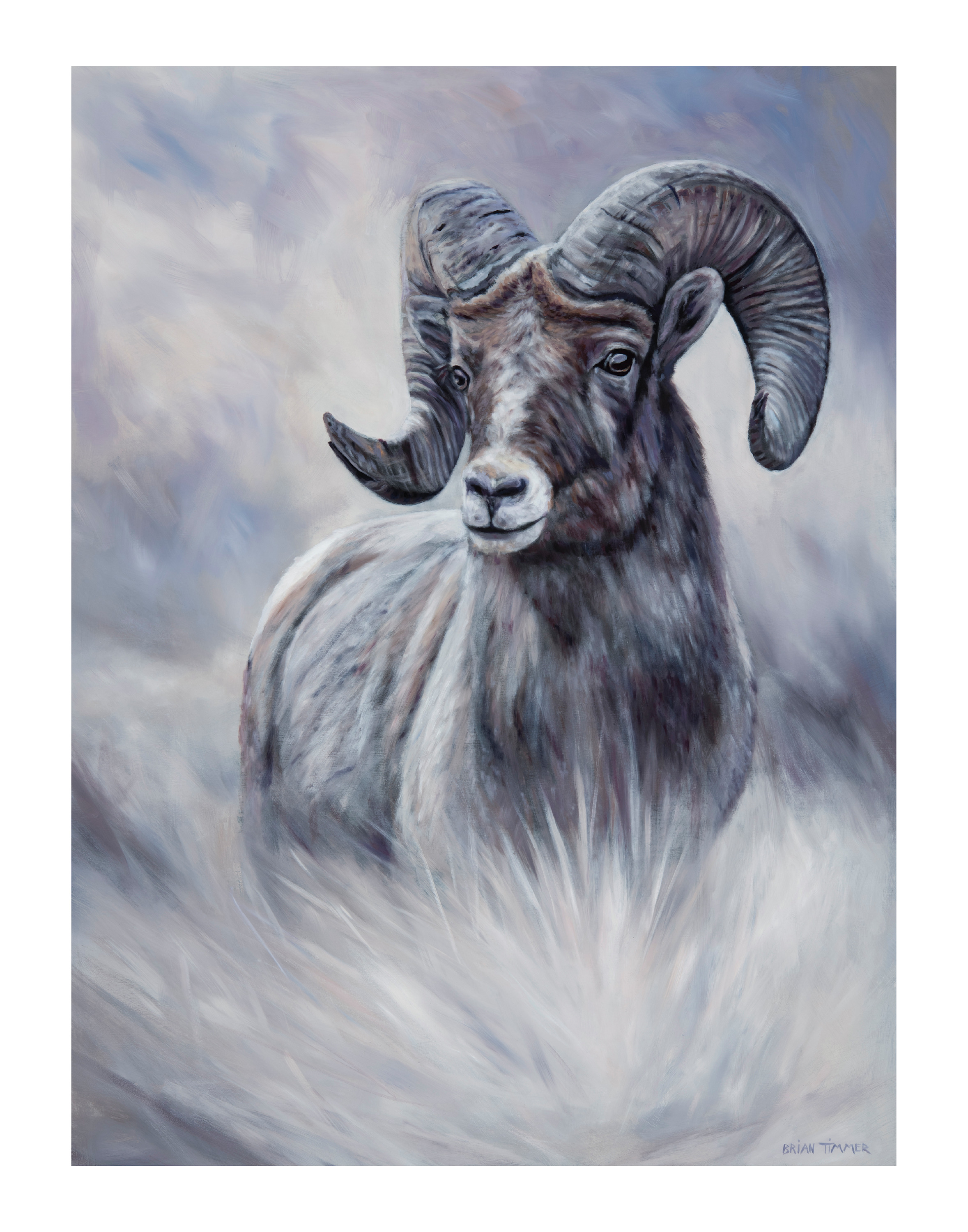 Big horn 11x14 cqo5i7