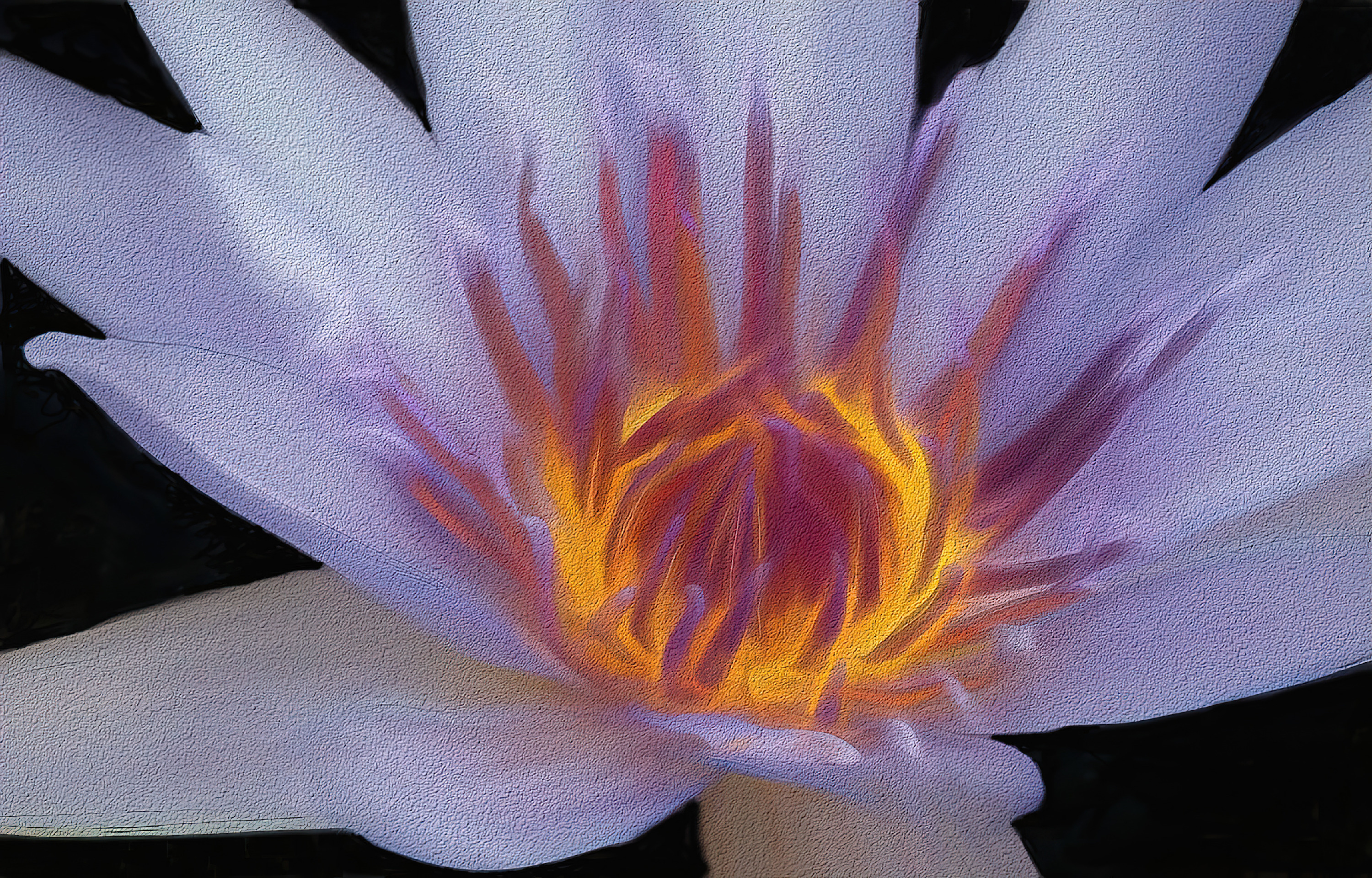 Purple water lily in chalk.final gigapixel standard scale 2 00x qmh6yr m7zo7e