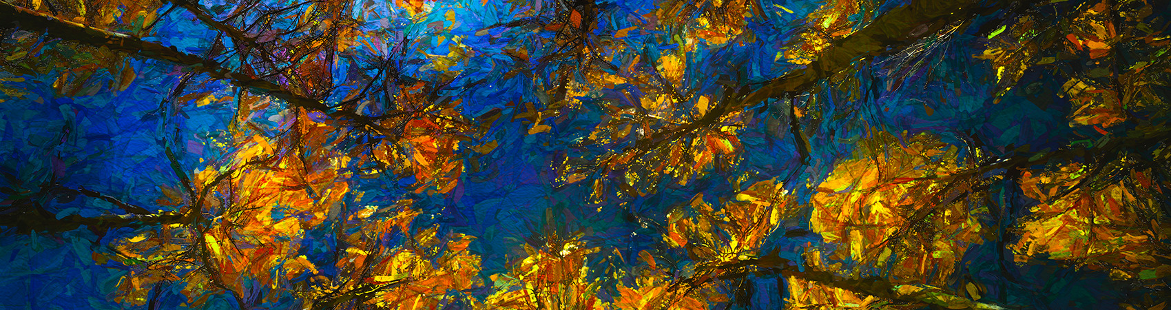 
        <div class='title'>
          FallFantasy
        </div>
       