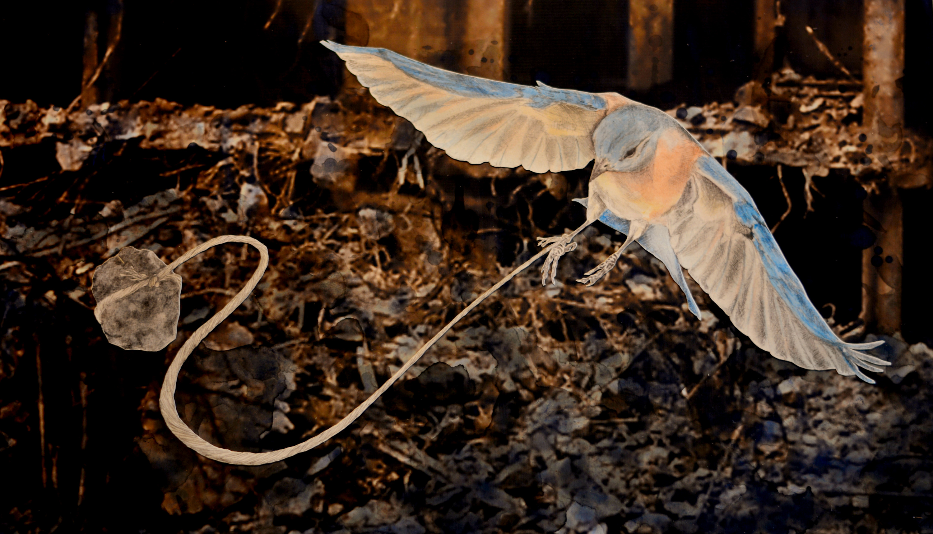 Freespirit2014 mx8604